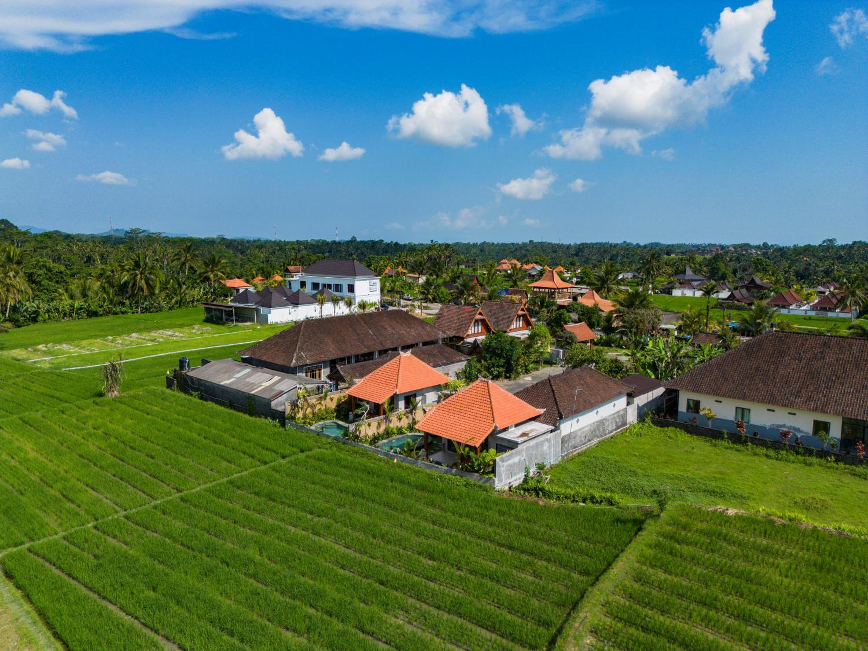 Seelong Villa Ubud by Dhananjaya Hospitality