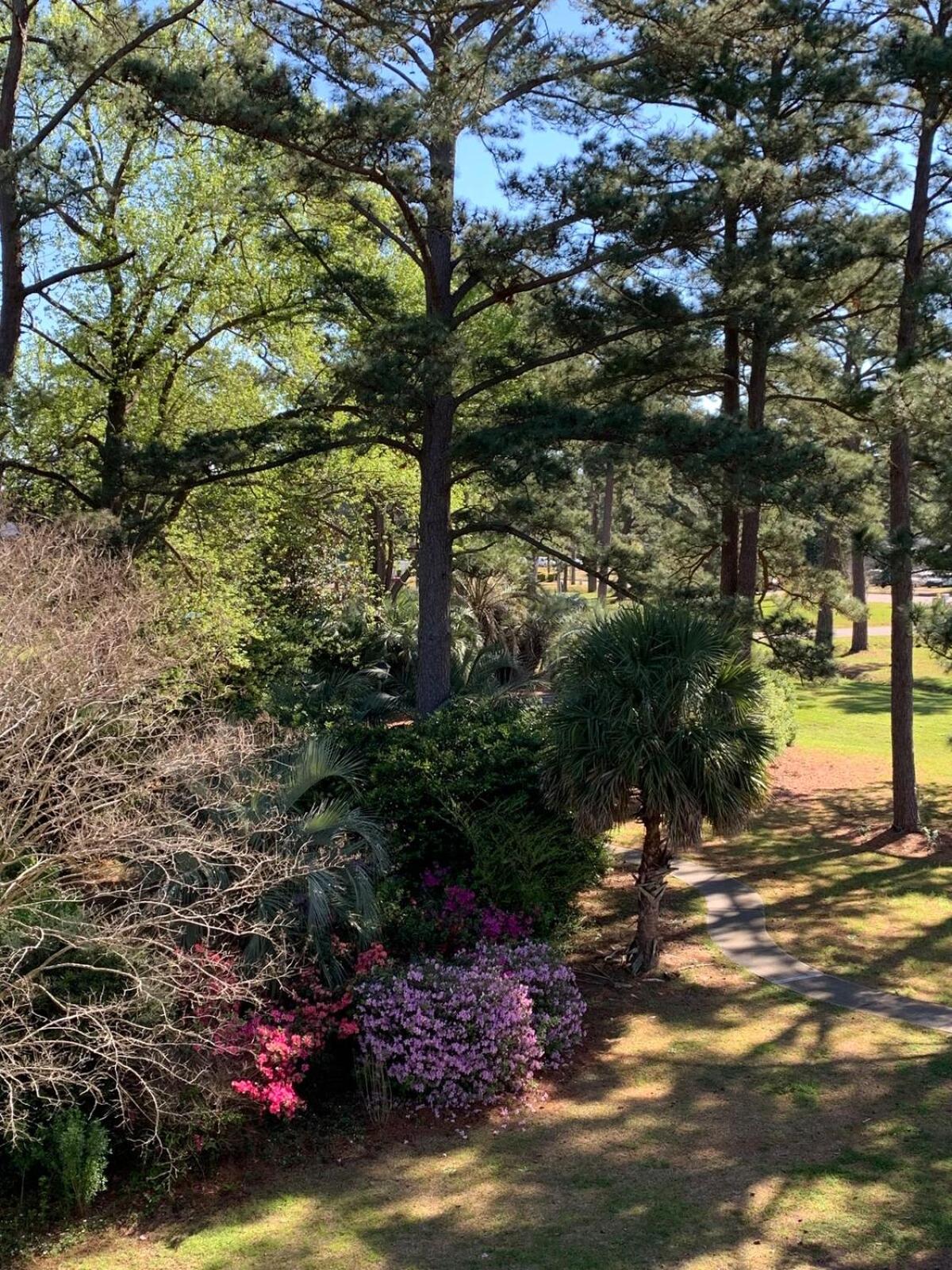 Myrtle Beach Retreat - Golf and Pools On-site