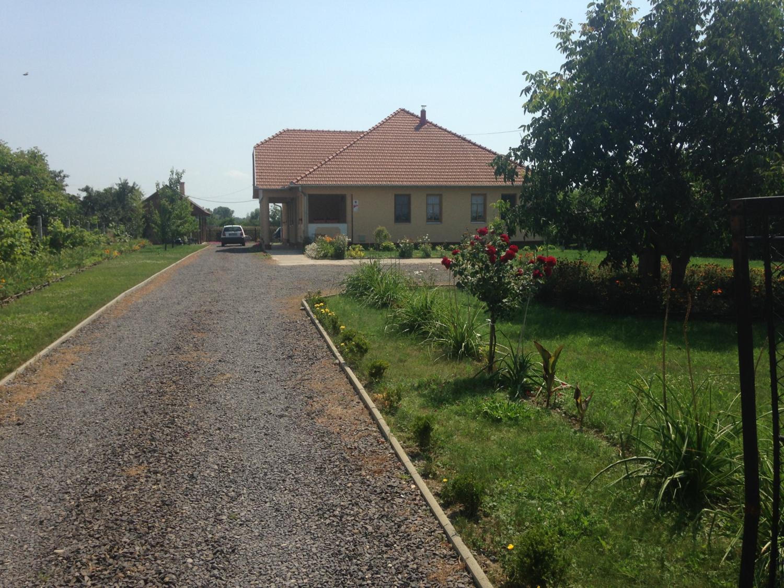 Photo 11