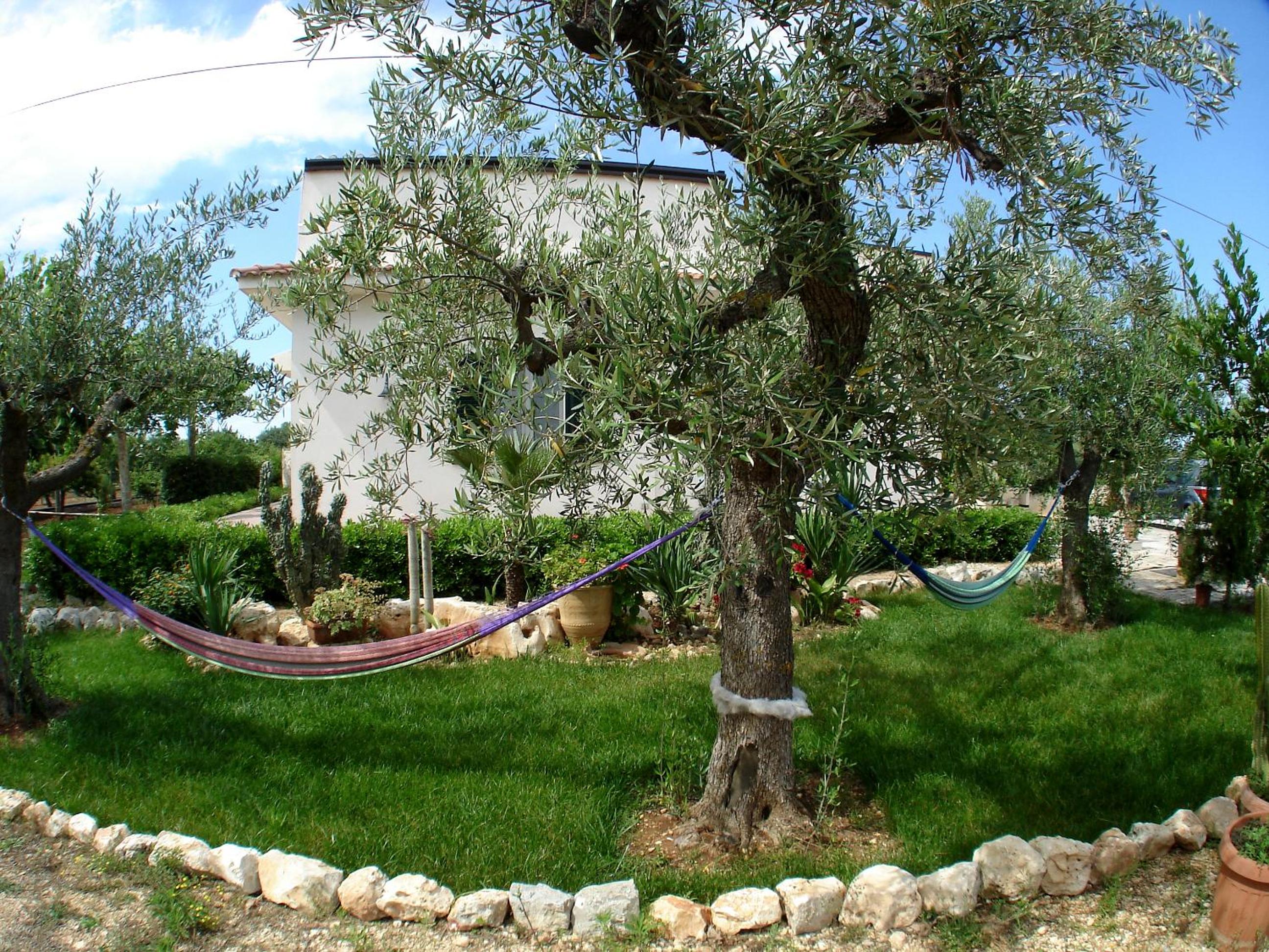 Photo 22