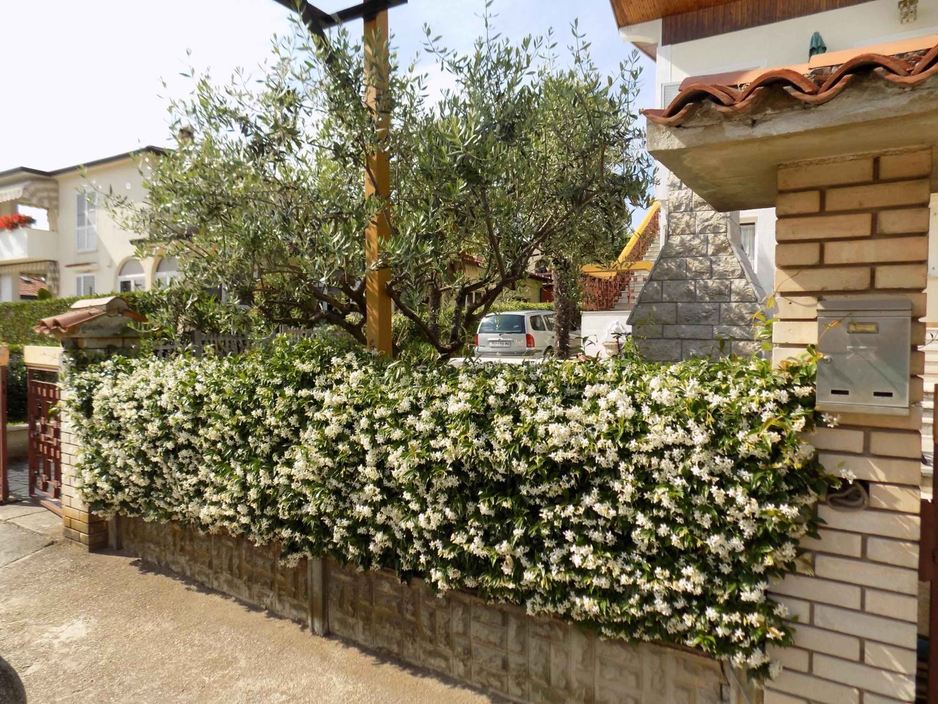 Apartment Leporiz view 3