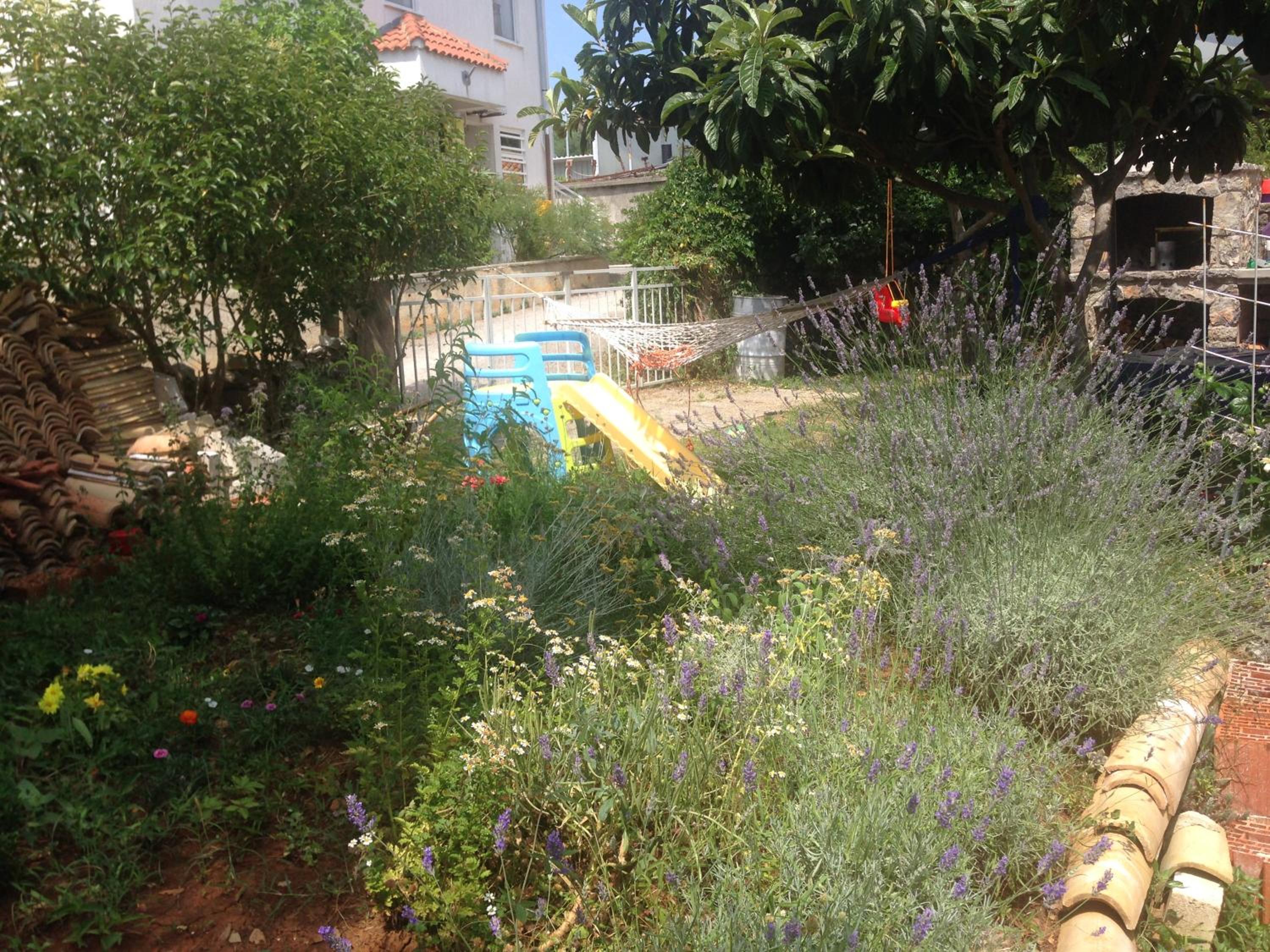 Photo 51