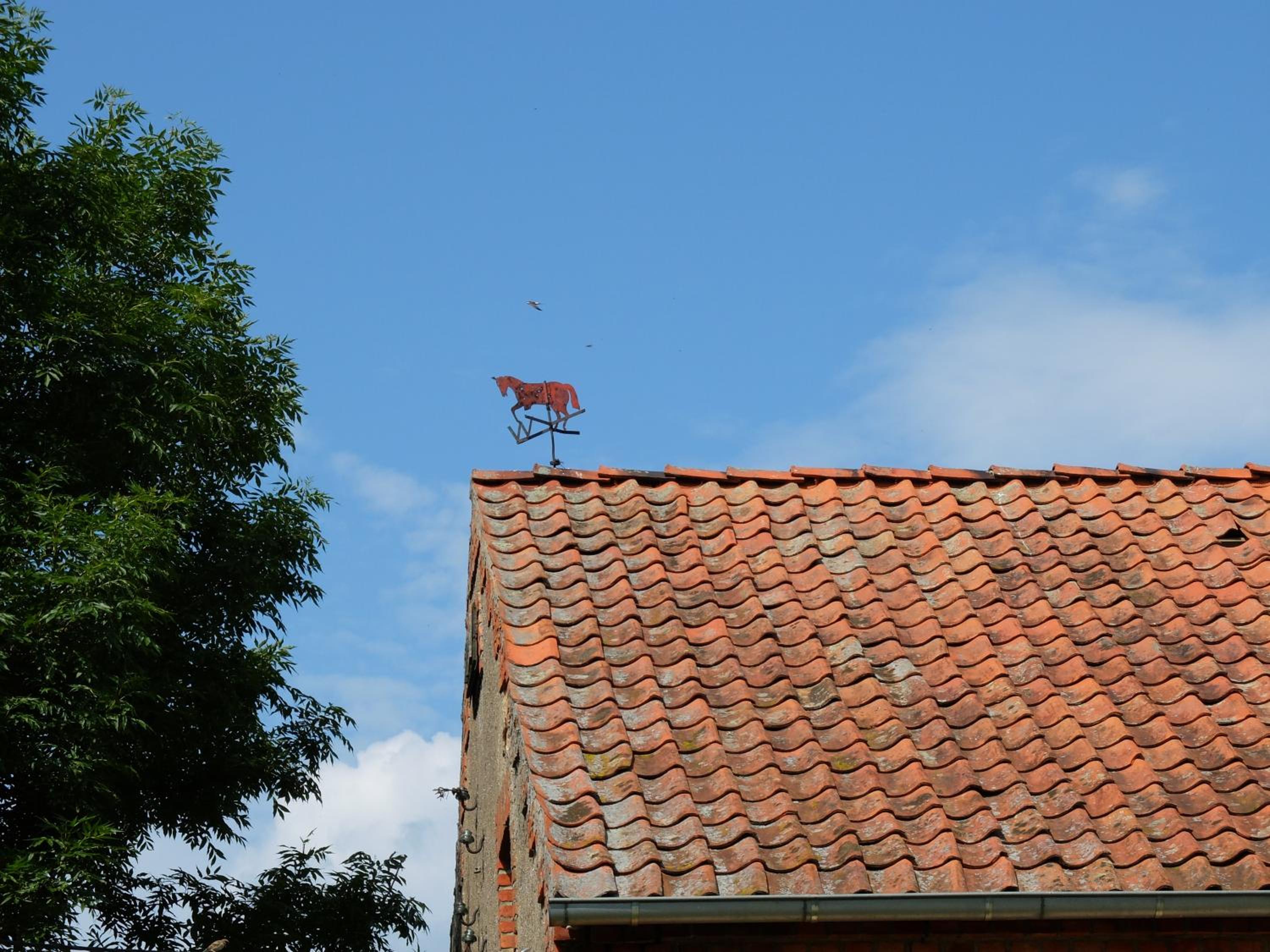Photo 43