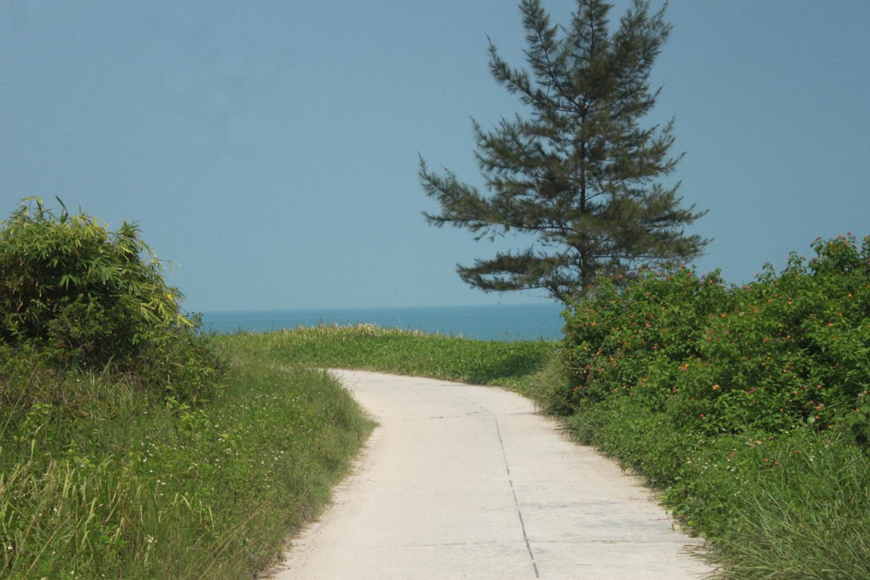Photo 45