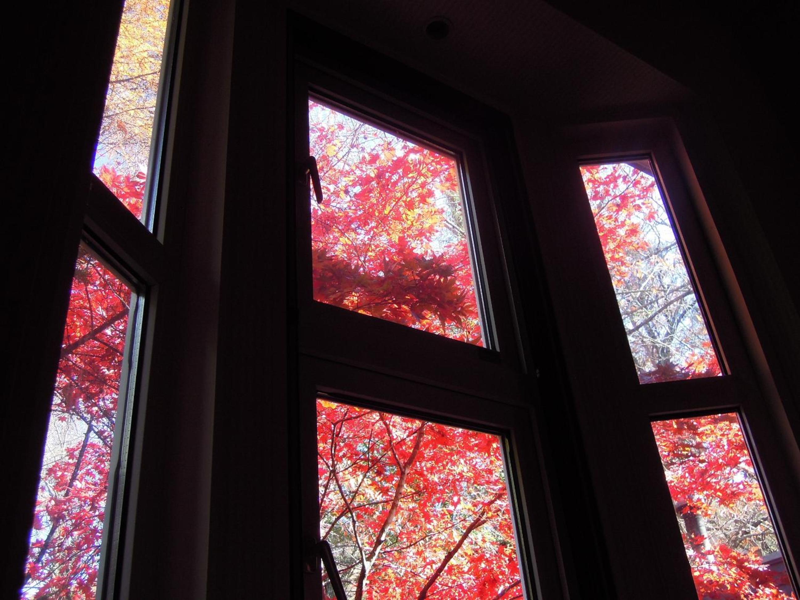 Bellscabin Guesthouse