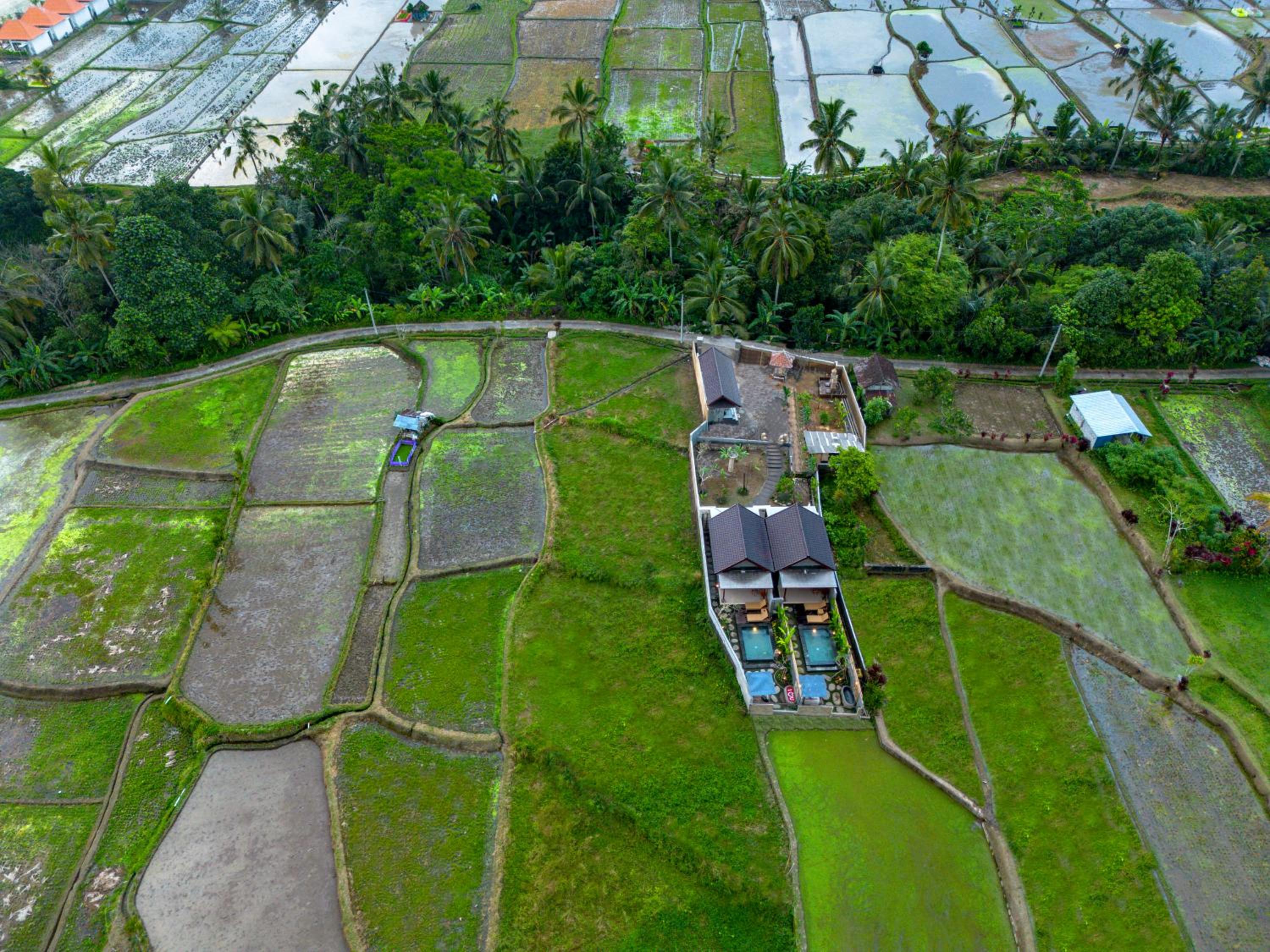 Shankara Villa Ubud by Dhananjaya Hospitality
