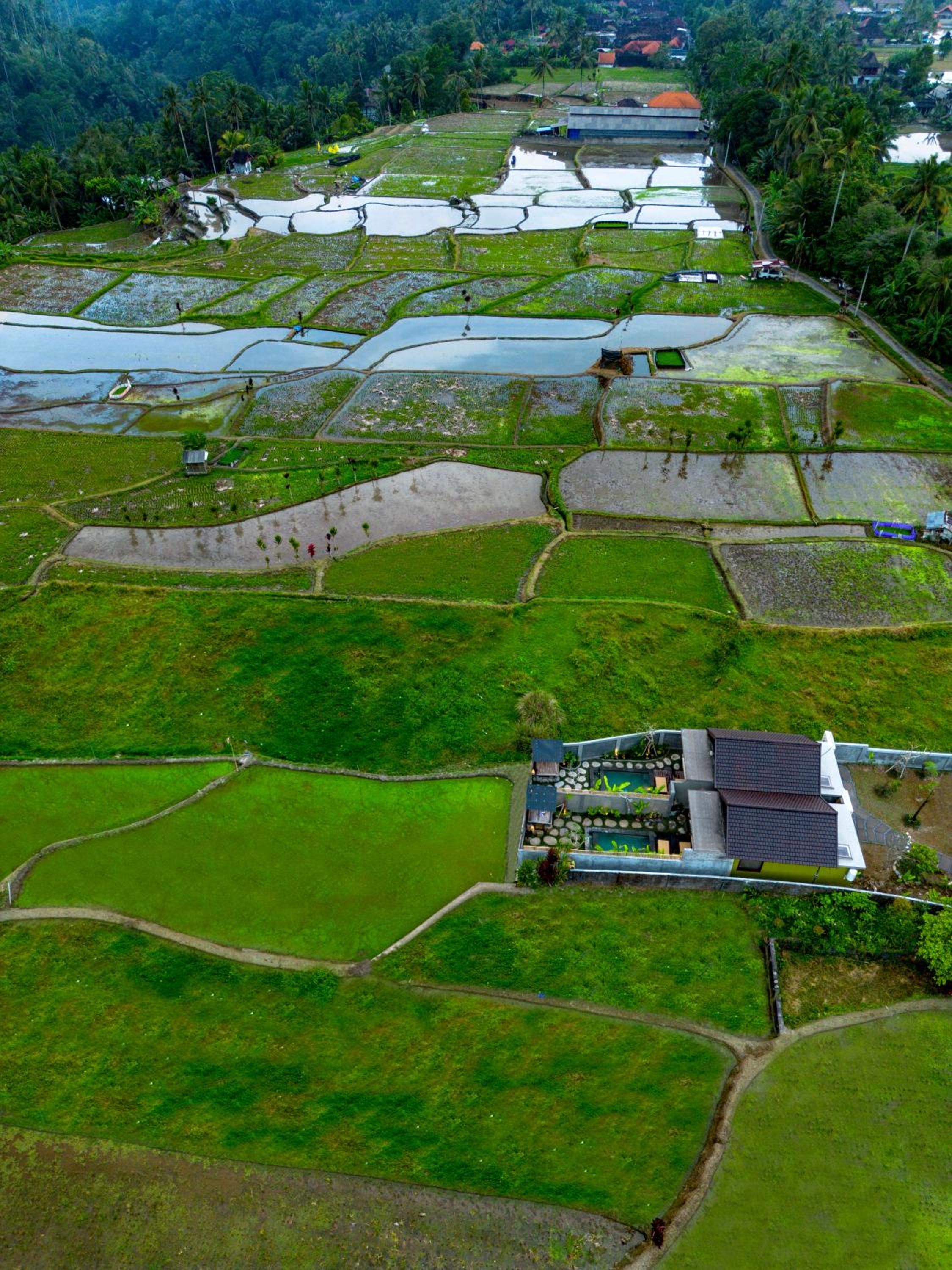 Shankara Villa Ubud by Dhananjaya Hospitality
