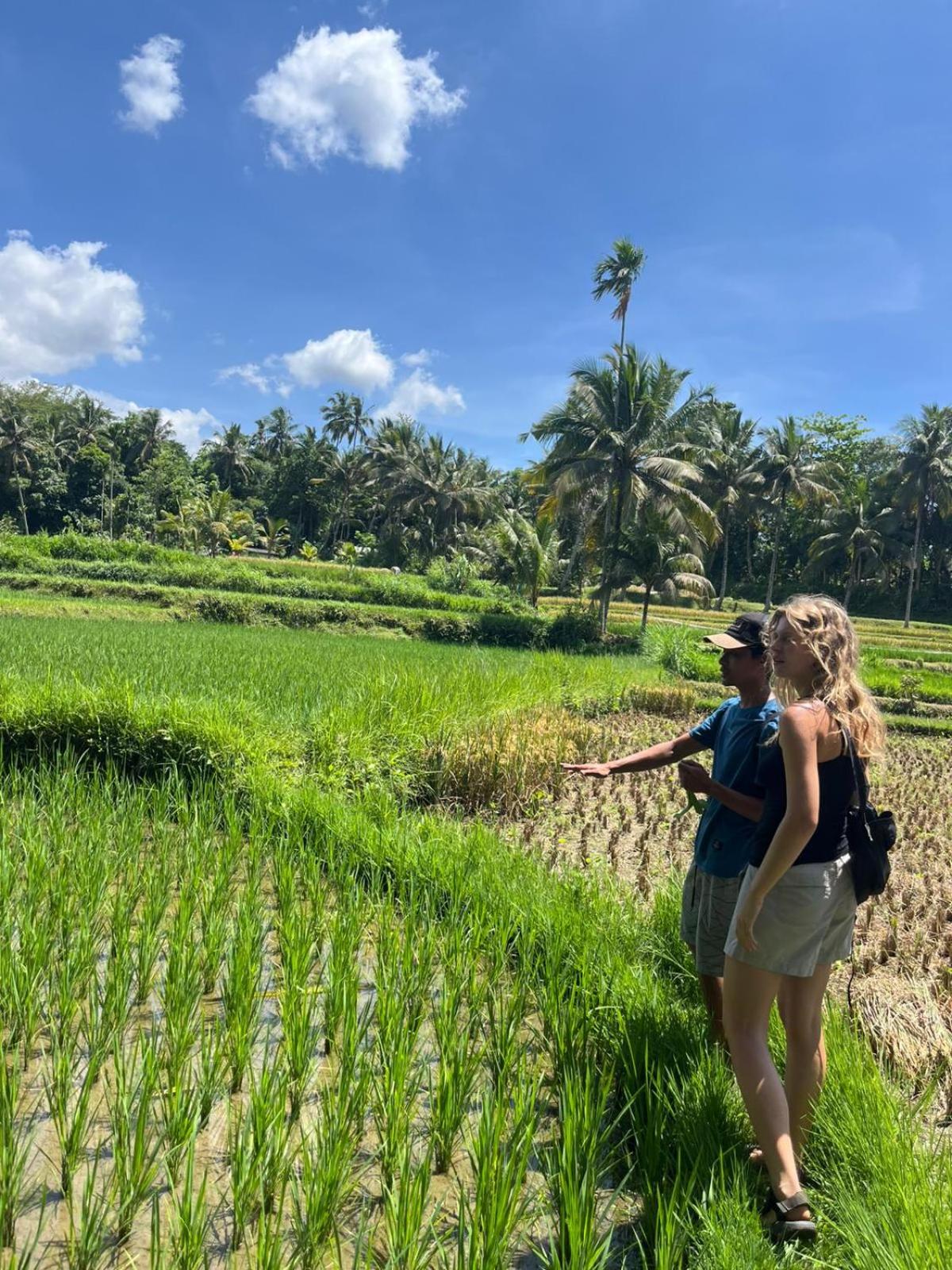 Bamboo Craft Homestay