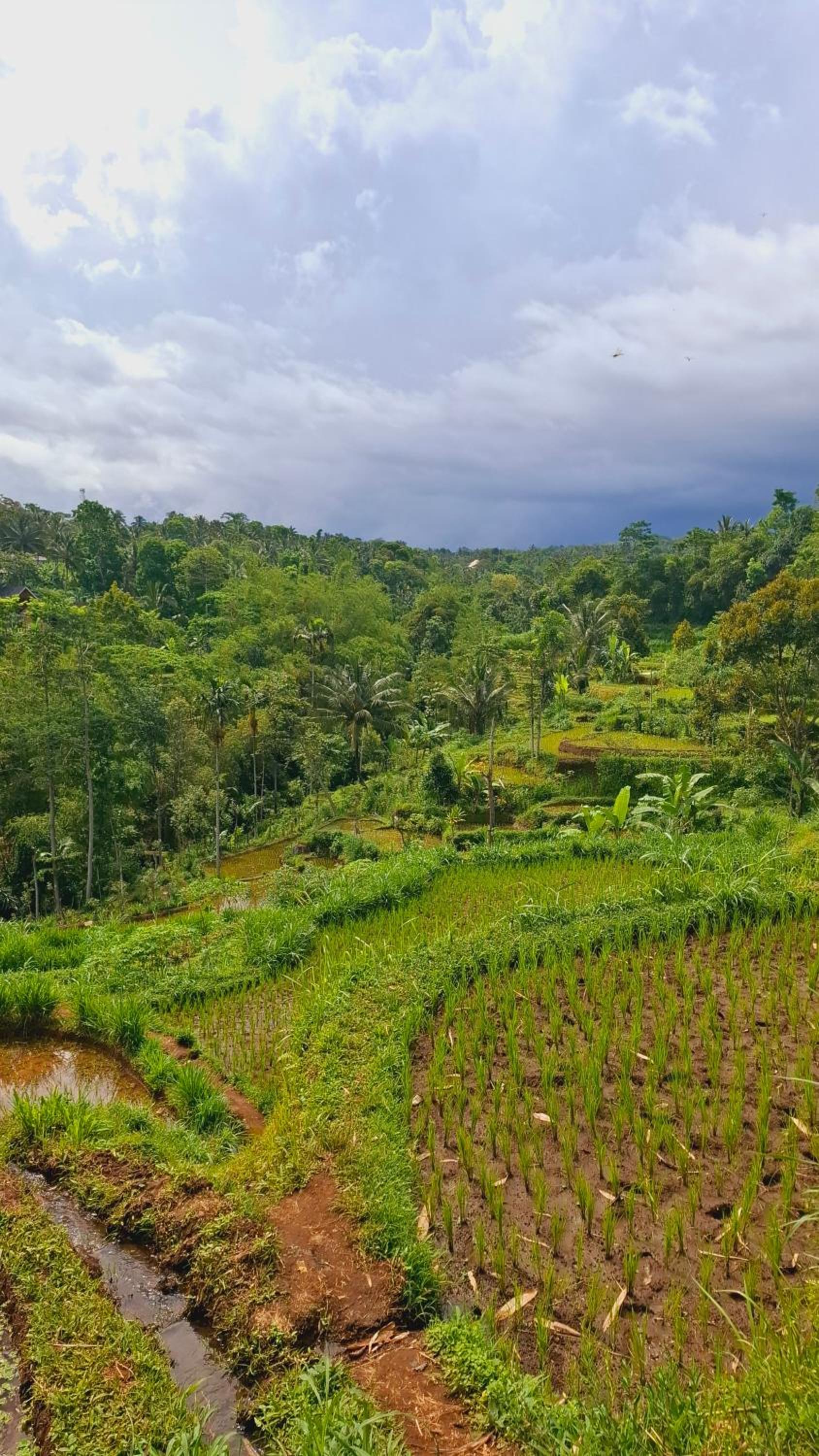 Bamboo Craft Homestay