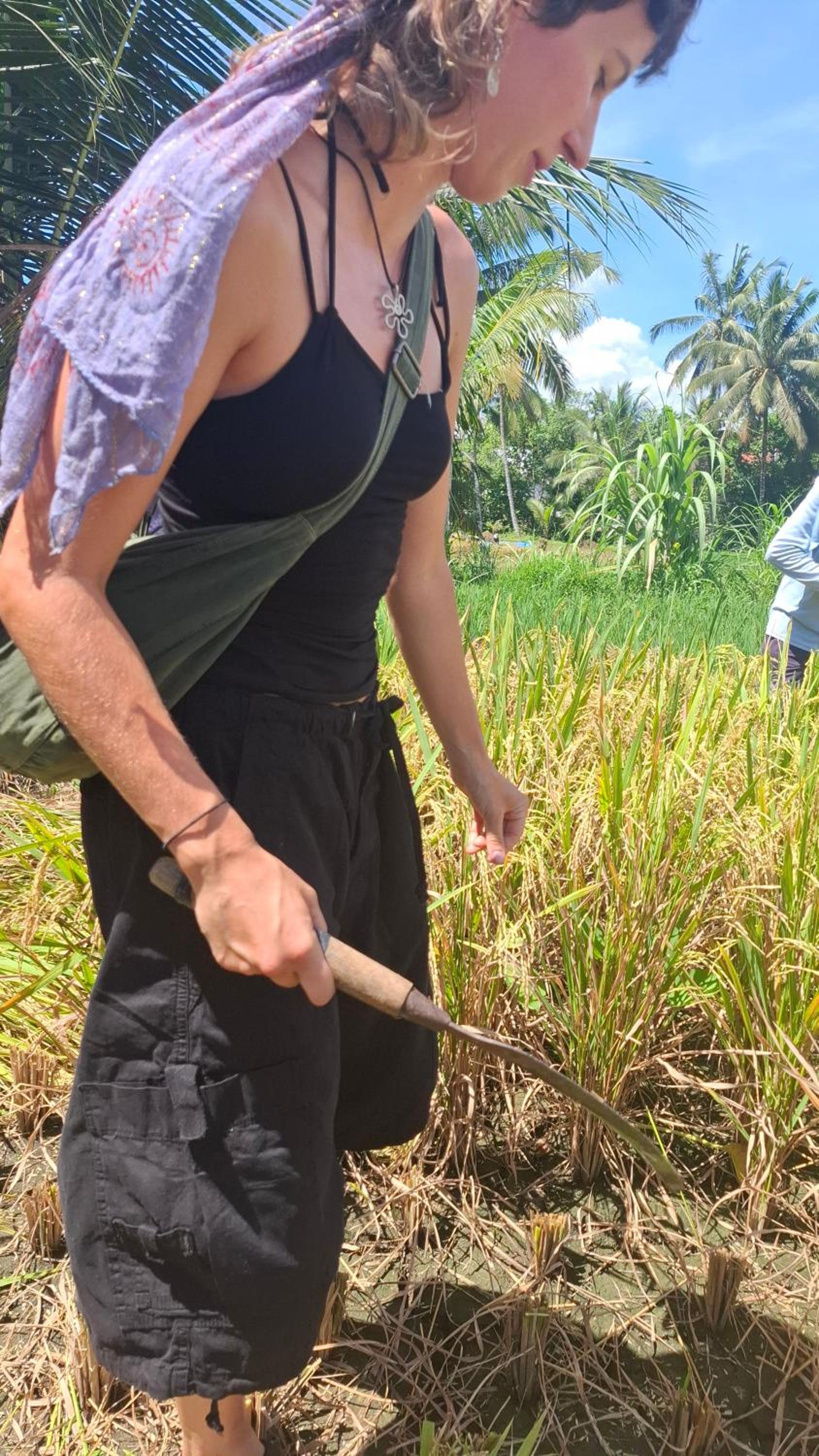 Bamboo Craft Homestay