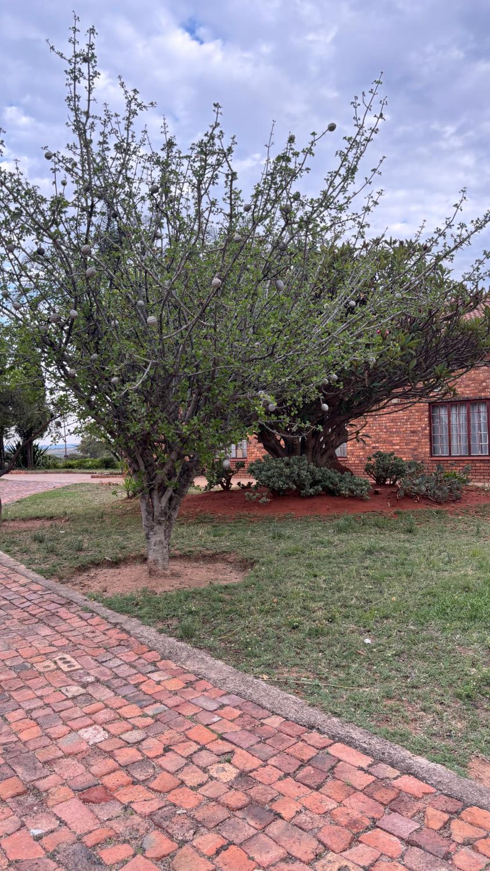 The N1 Farm Place