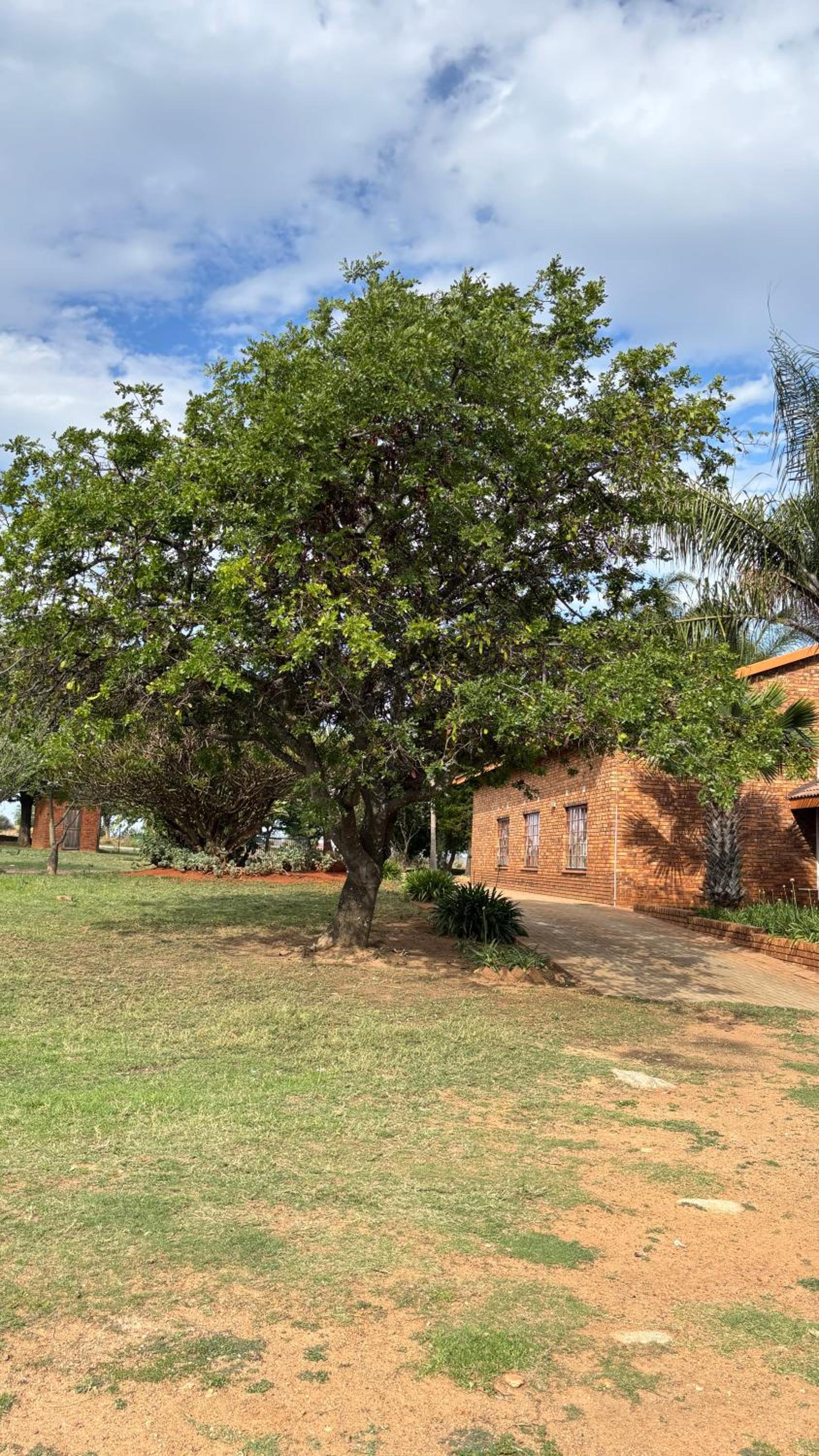 The N1 Farm Place
