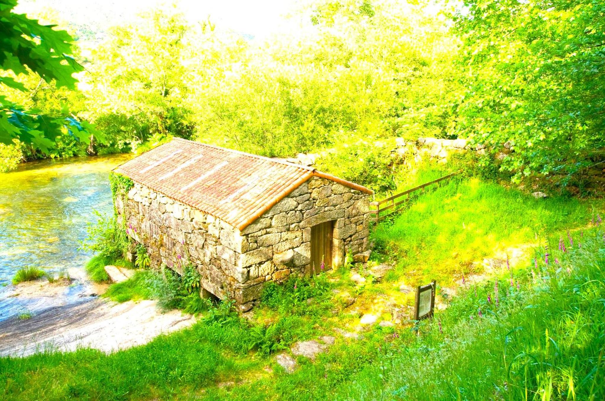 La Casa del Bosque del Agua y SPA Prexigueiro Obsequio entrada por persona a circuito termal