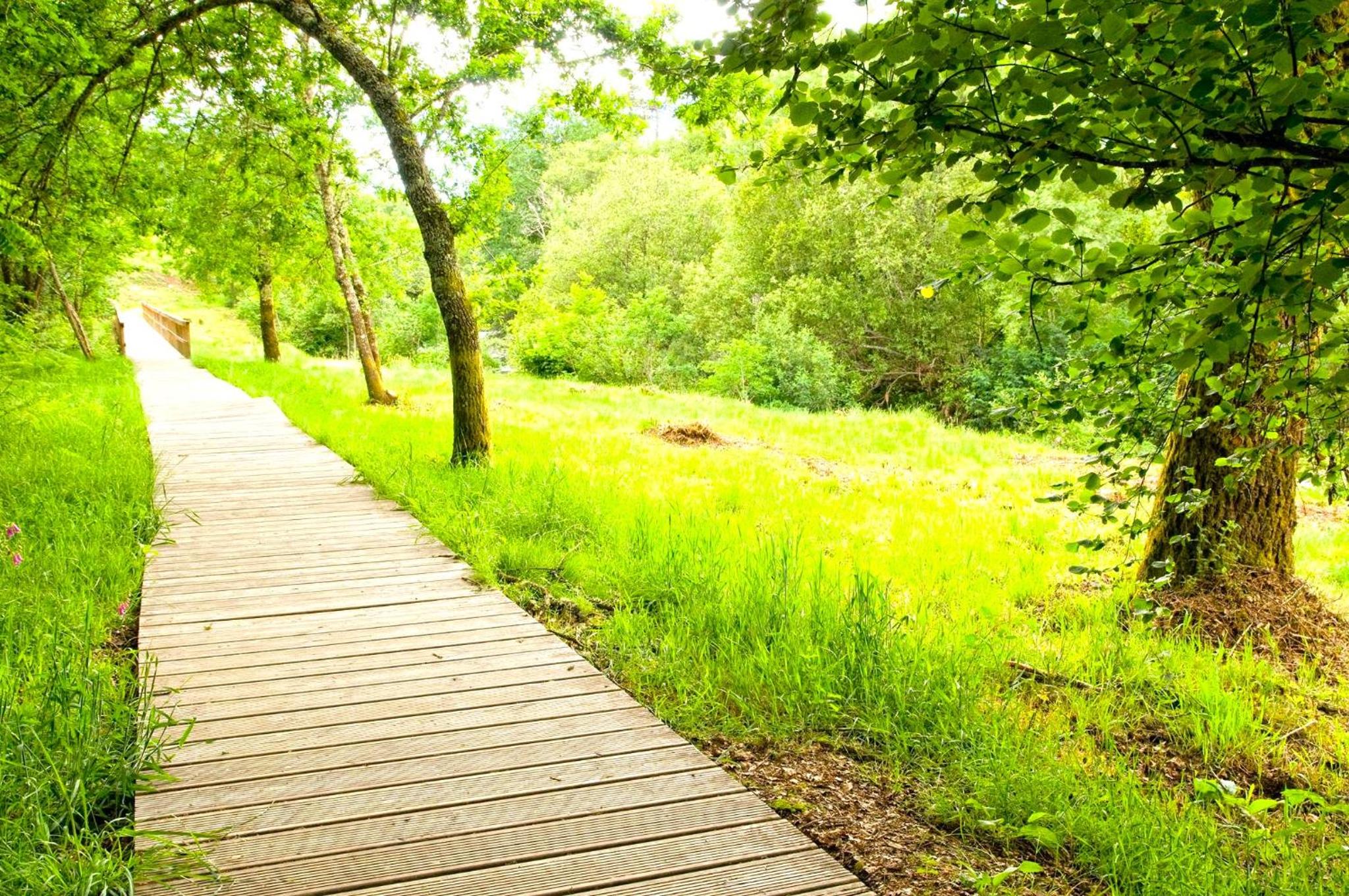 La Casa del Bosque del Agua y SPA Prexigueiro Obsequio entrada por persona a circuito termal