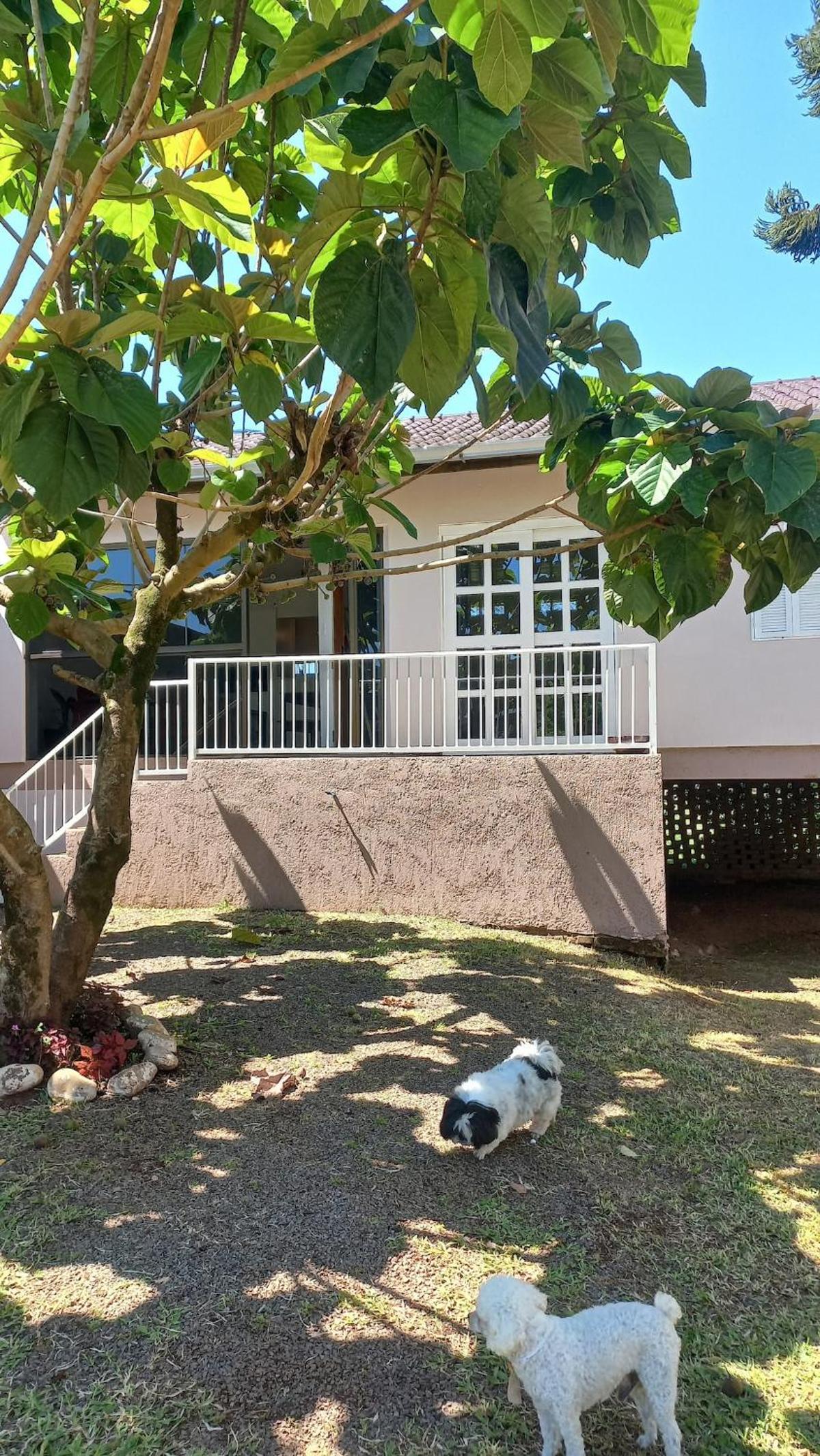 Refúgio até 8 pessoas Churrasqueira e pátio cercado