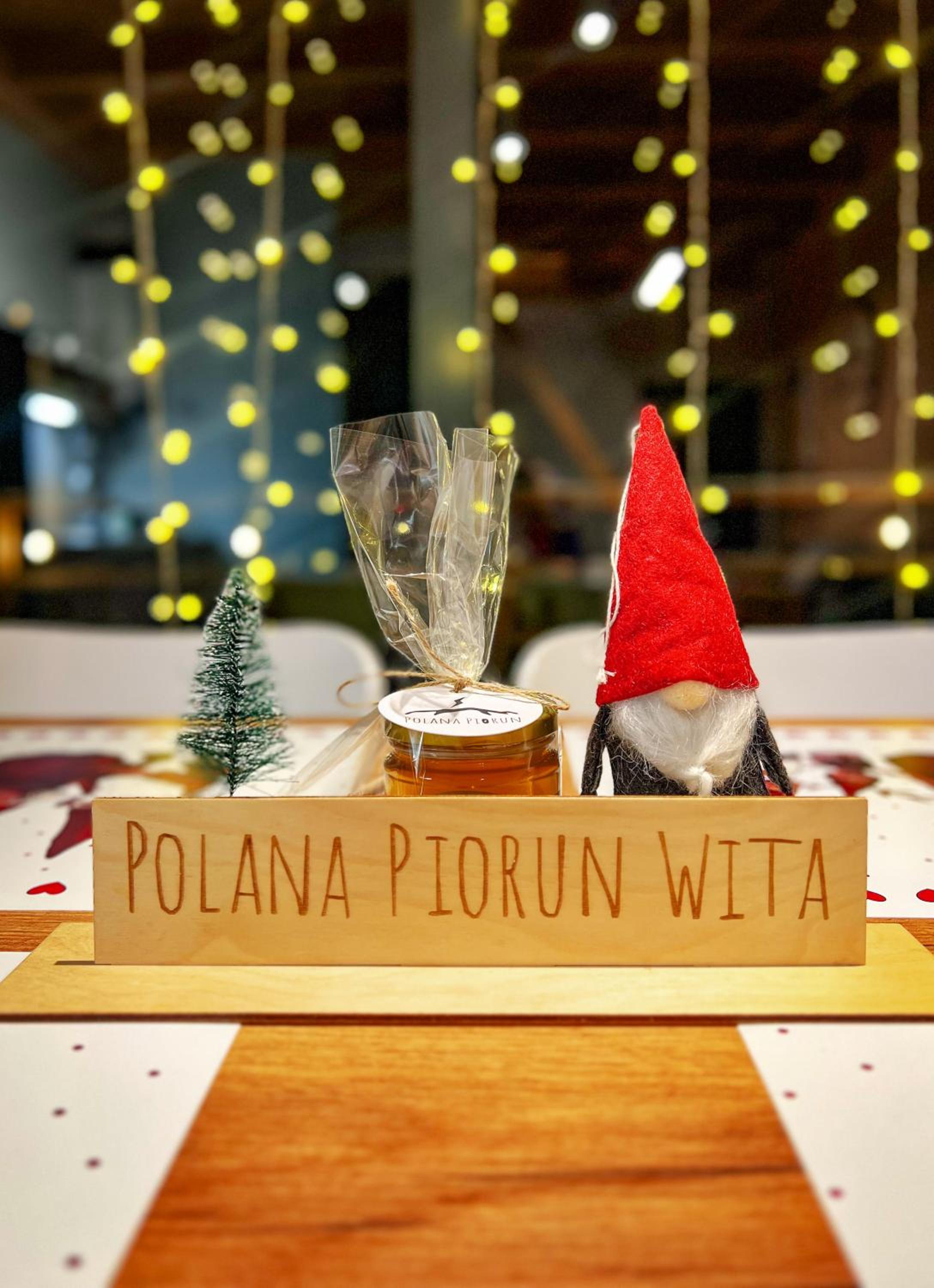 POLANA PIORUN Domki całoroczne w Beskidach