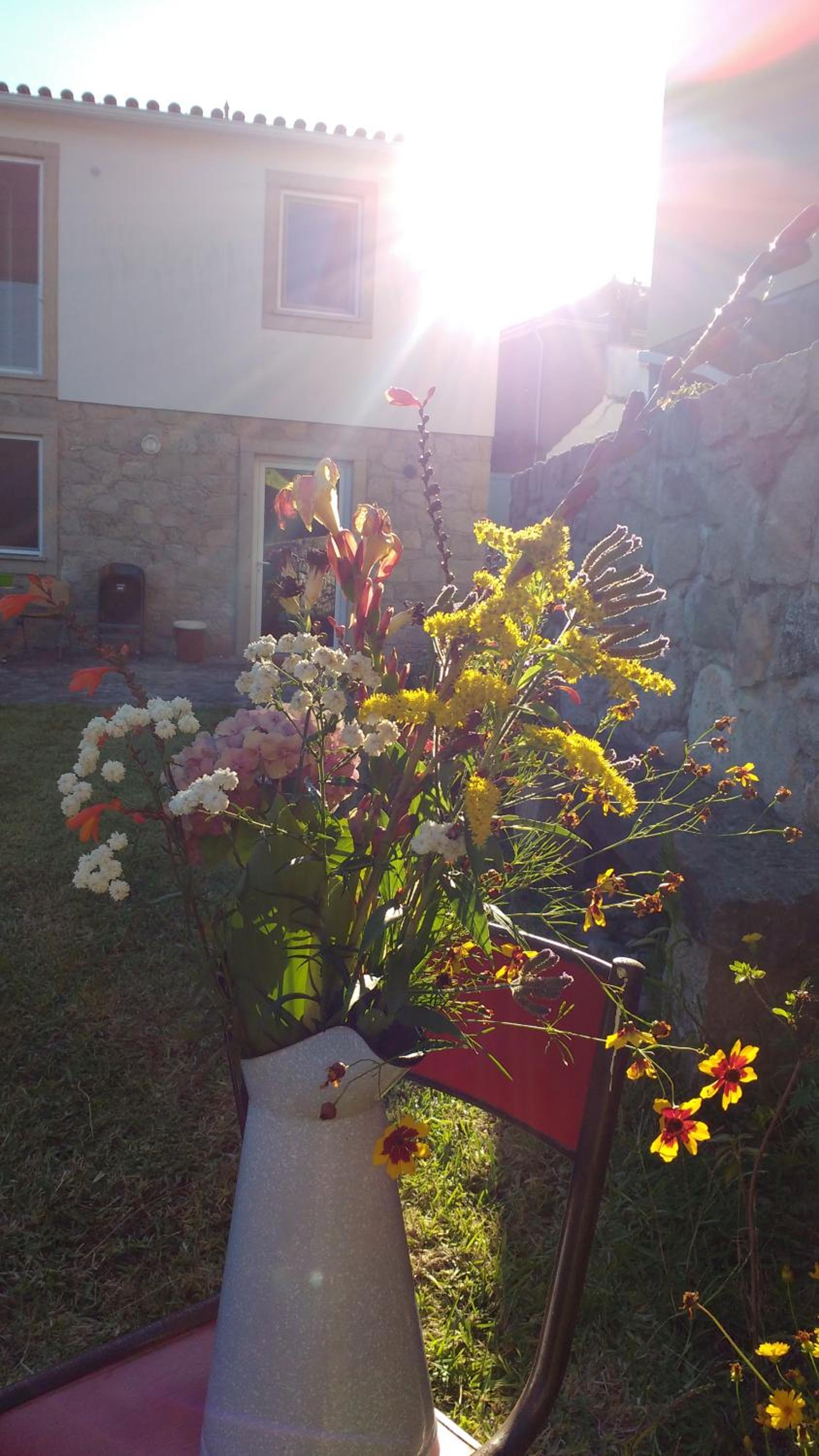 Photo 39