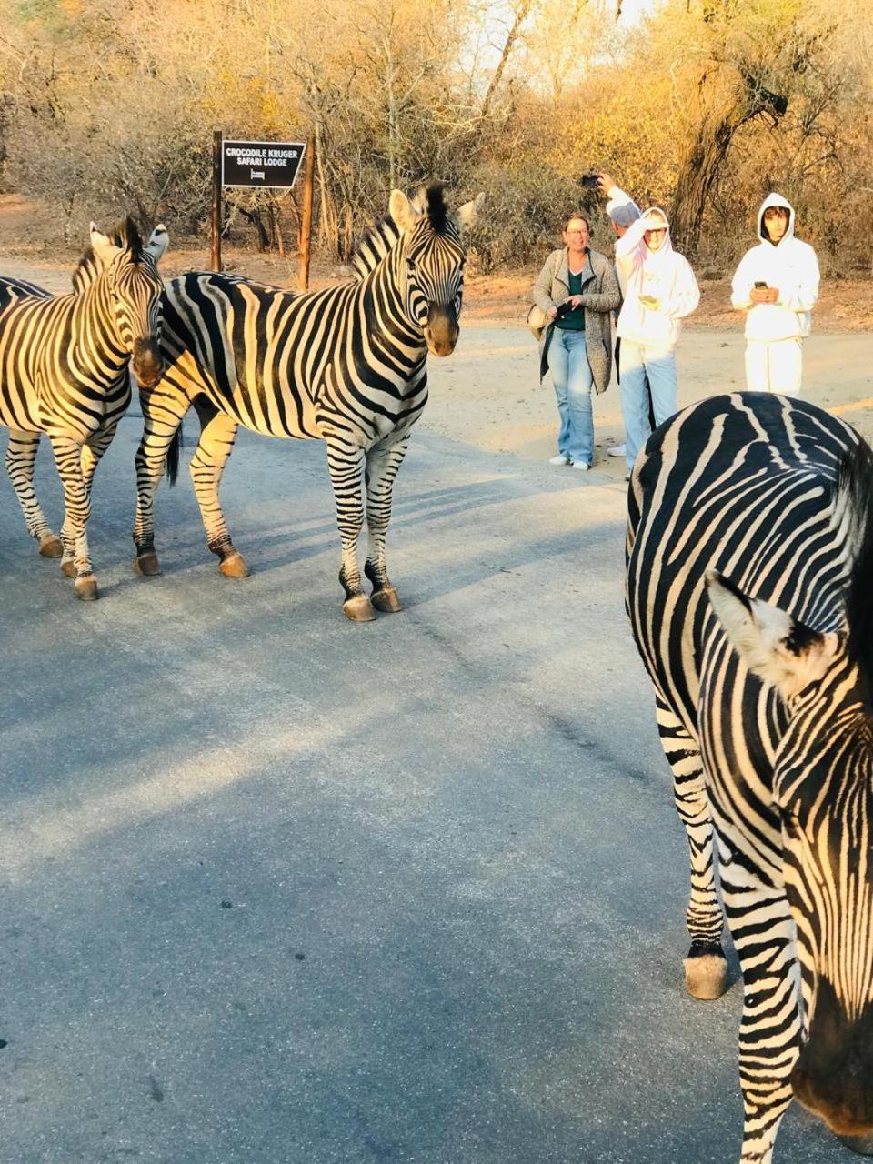 Kruger Maroela Lodge