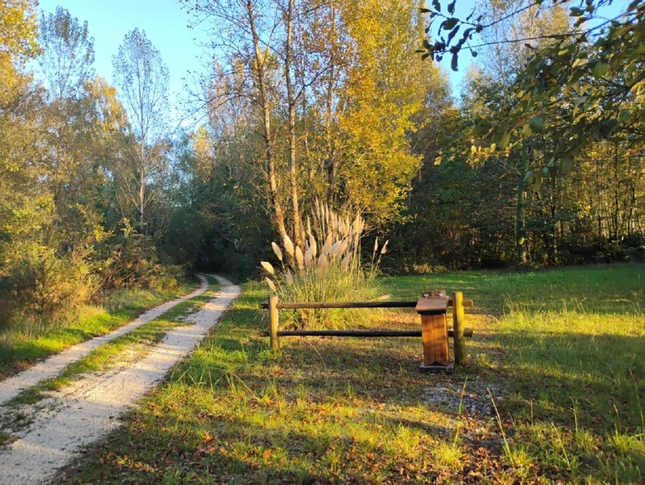 La Terrasse du Lac