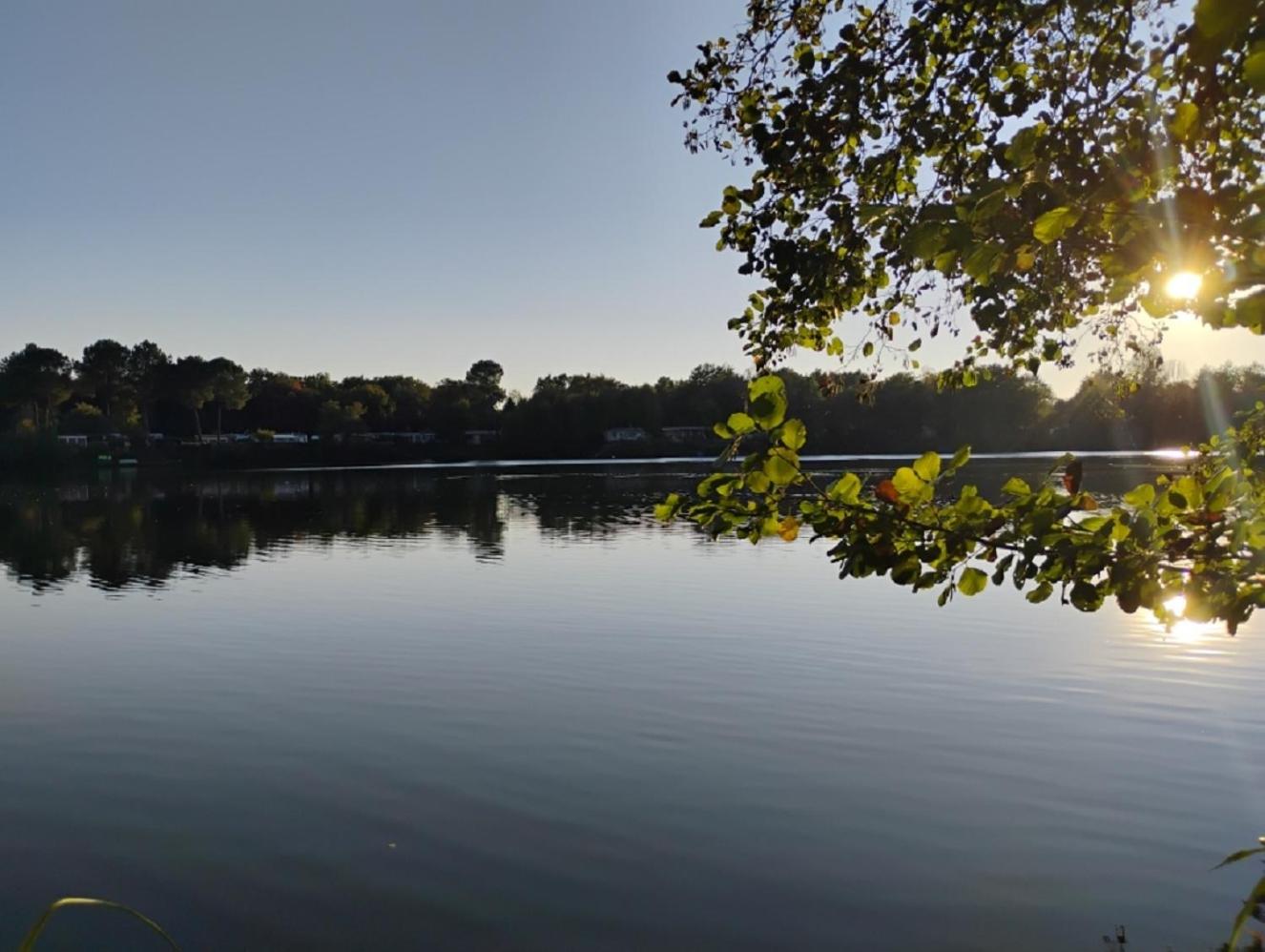 La Terrasse du Lac