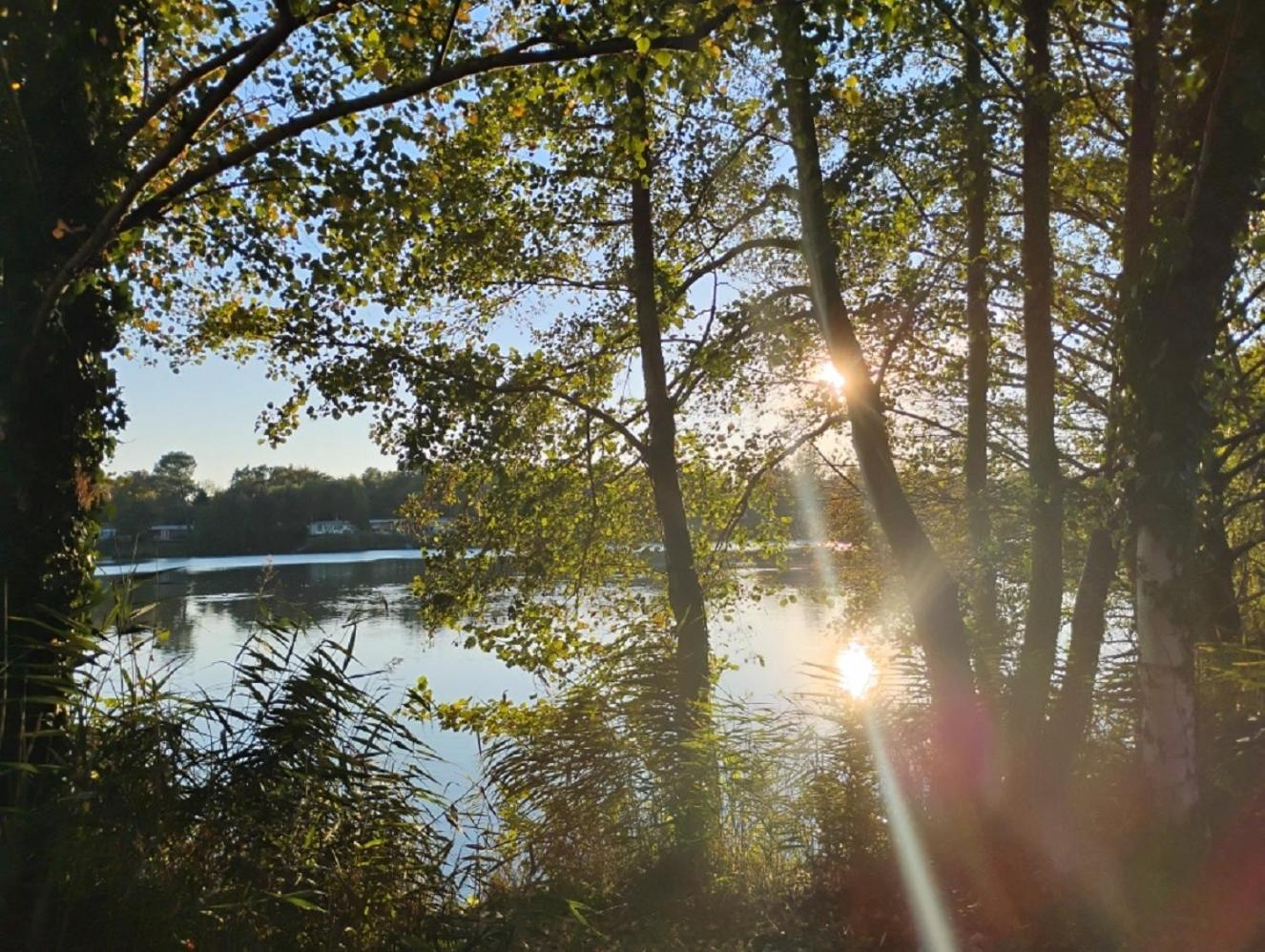 La Terrasse du Lac