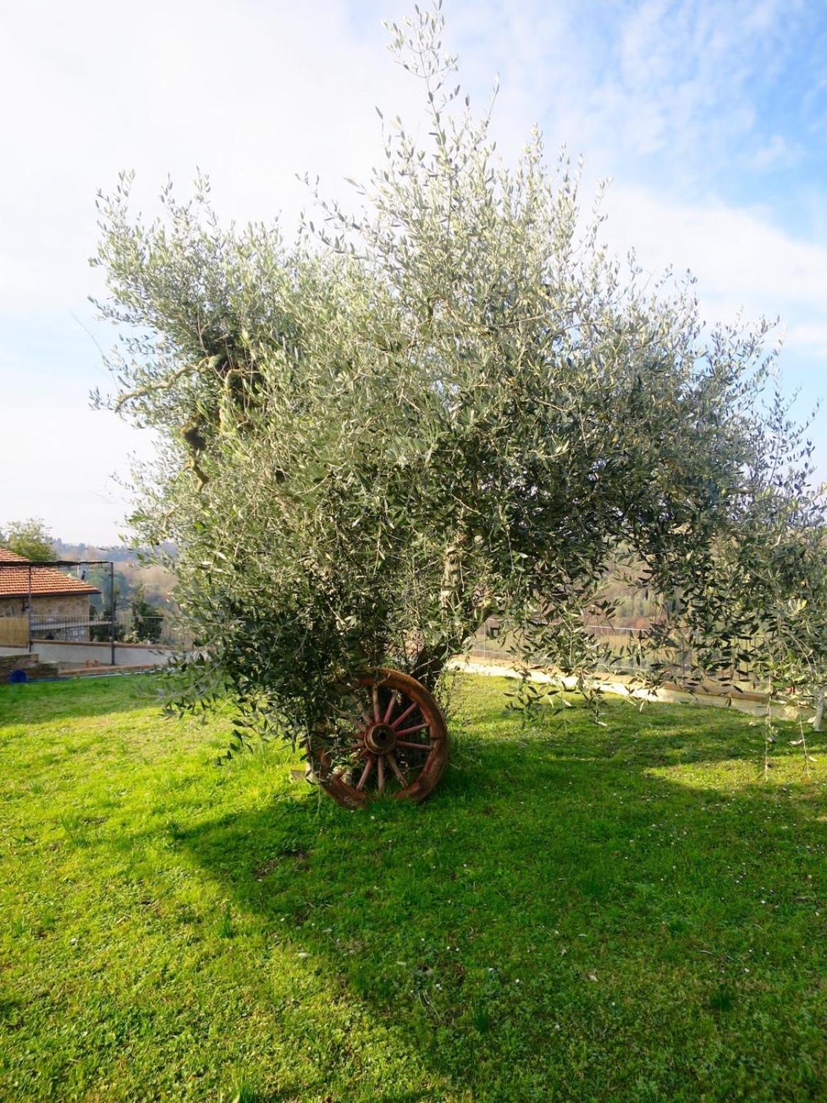 2 Br,1bath with 2 AC units, garden apt in Chianti!