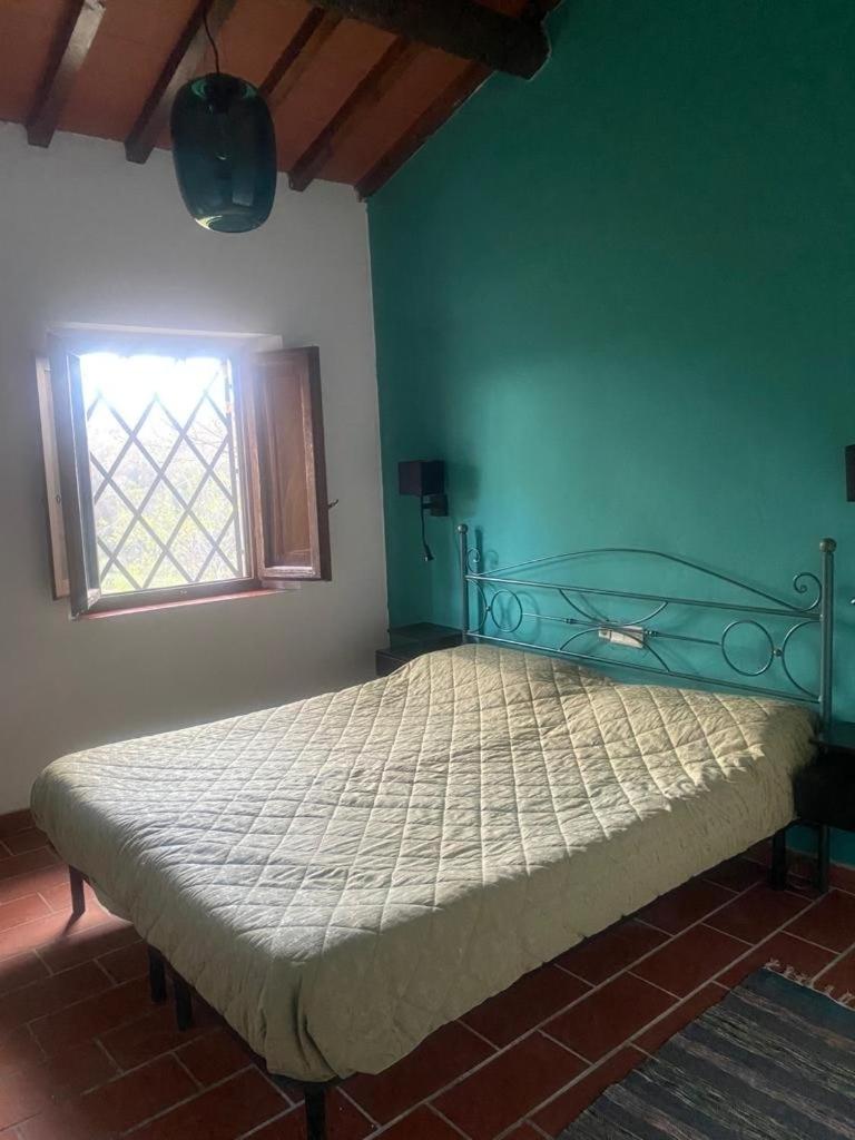 2 Br,1bath with 2 AC units, garden apt in Chianti!