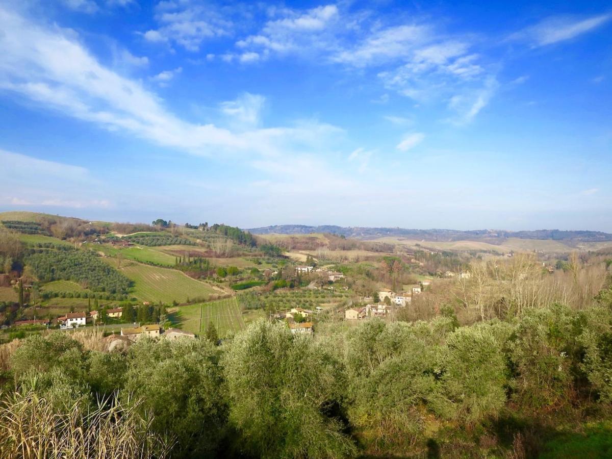 2 Br,1bath with 2 AC units, garden apt in Chianti!