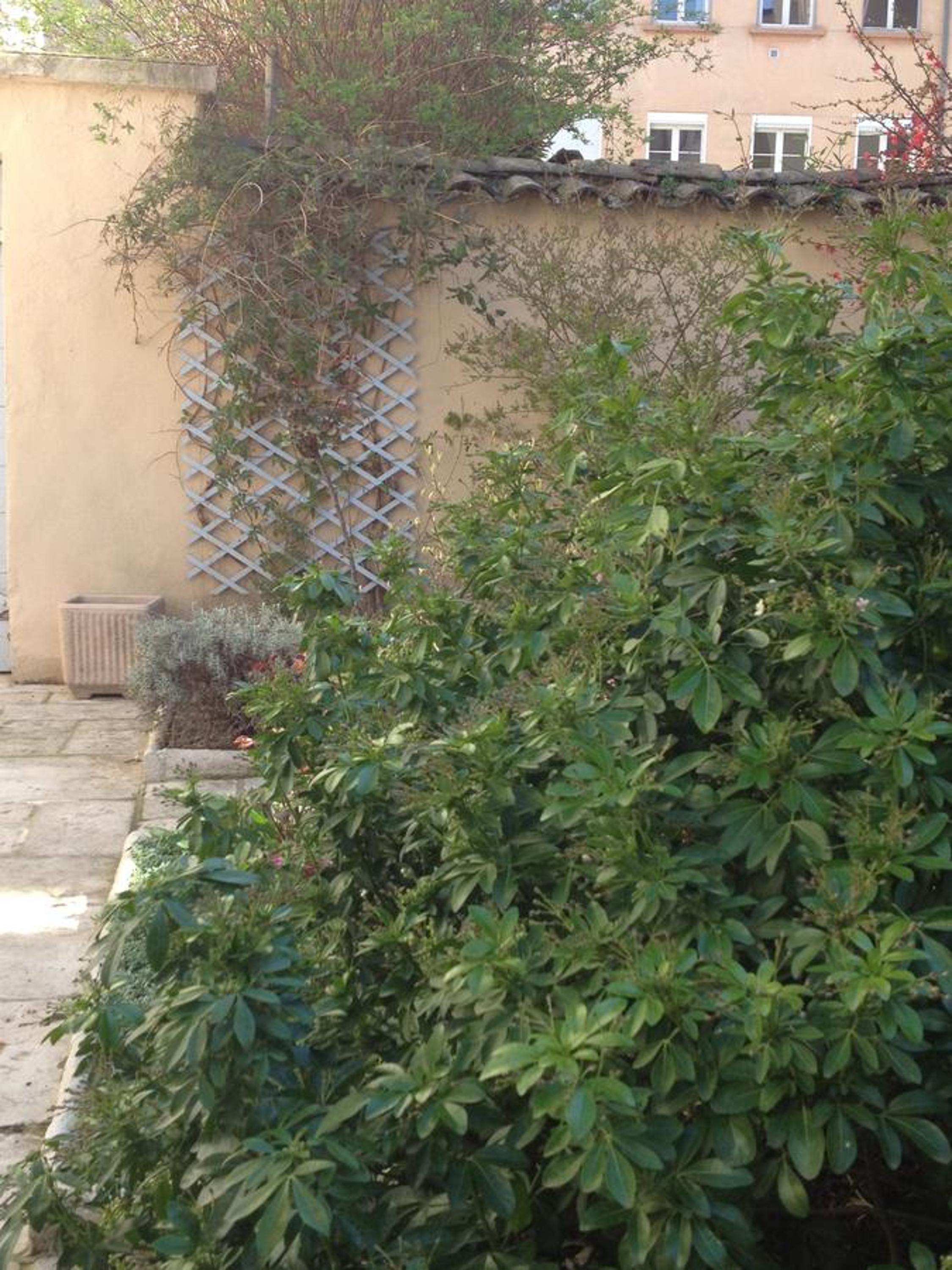 Photo 44