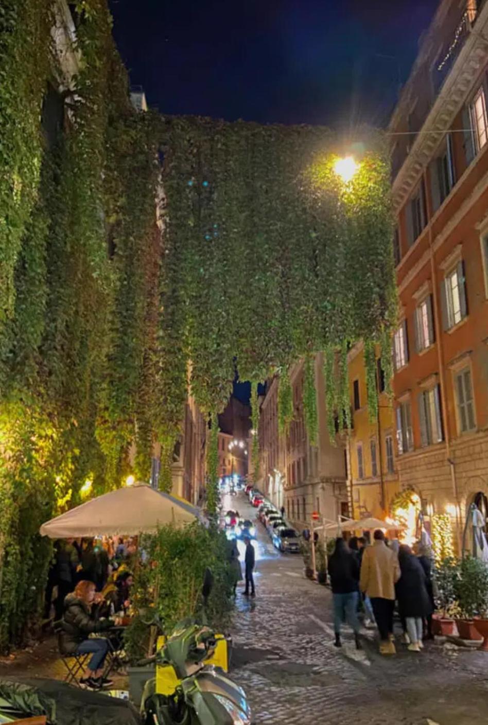 REALE COLOSSEO TREVI HOME - private garden