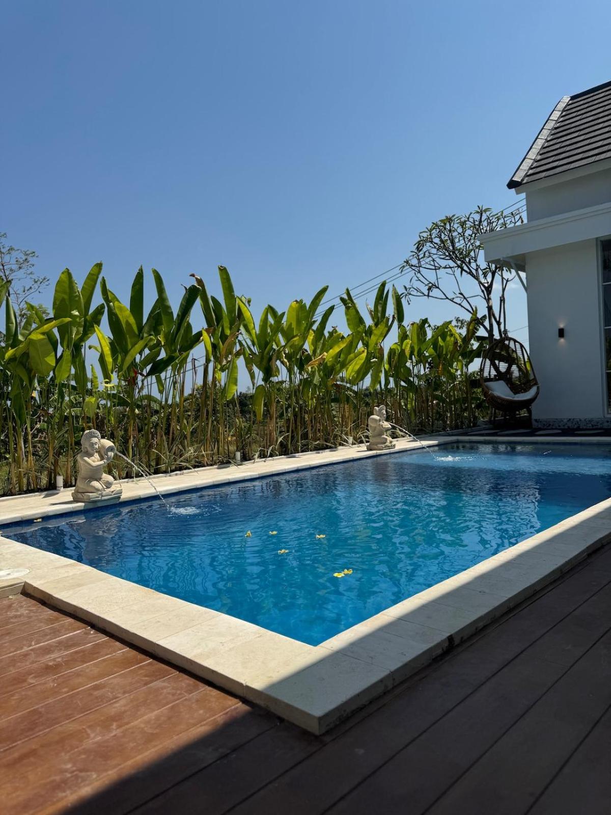 Brand New ! Villa Bella Lovina - Private Pool - Rice Field View