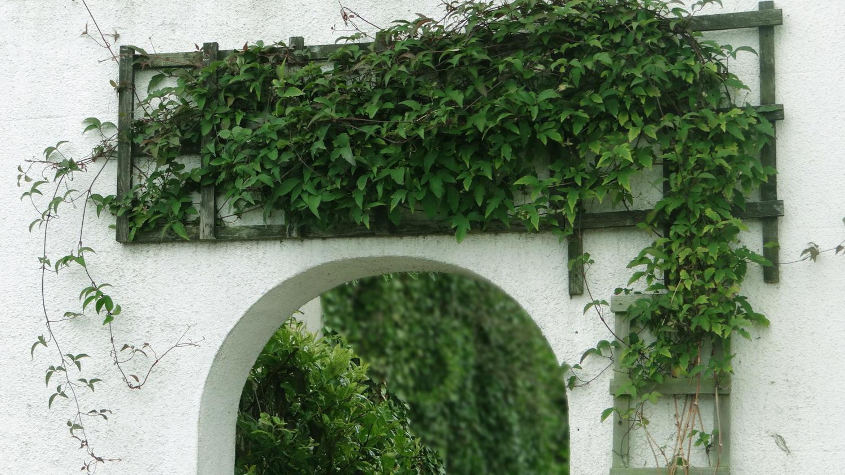 Jessamine House Hotel