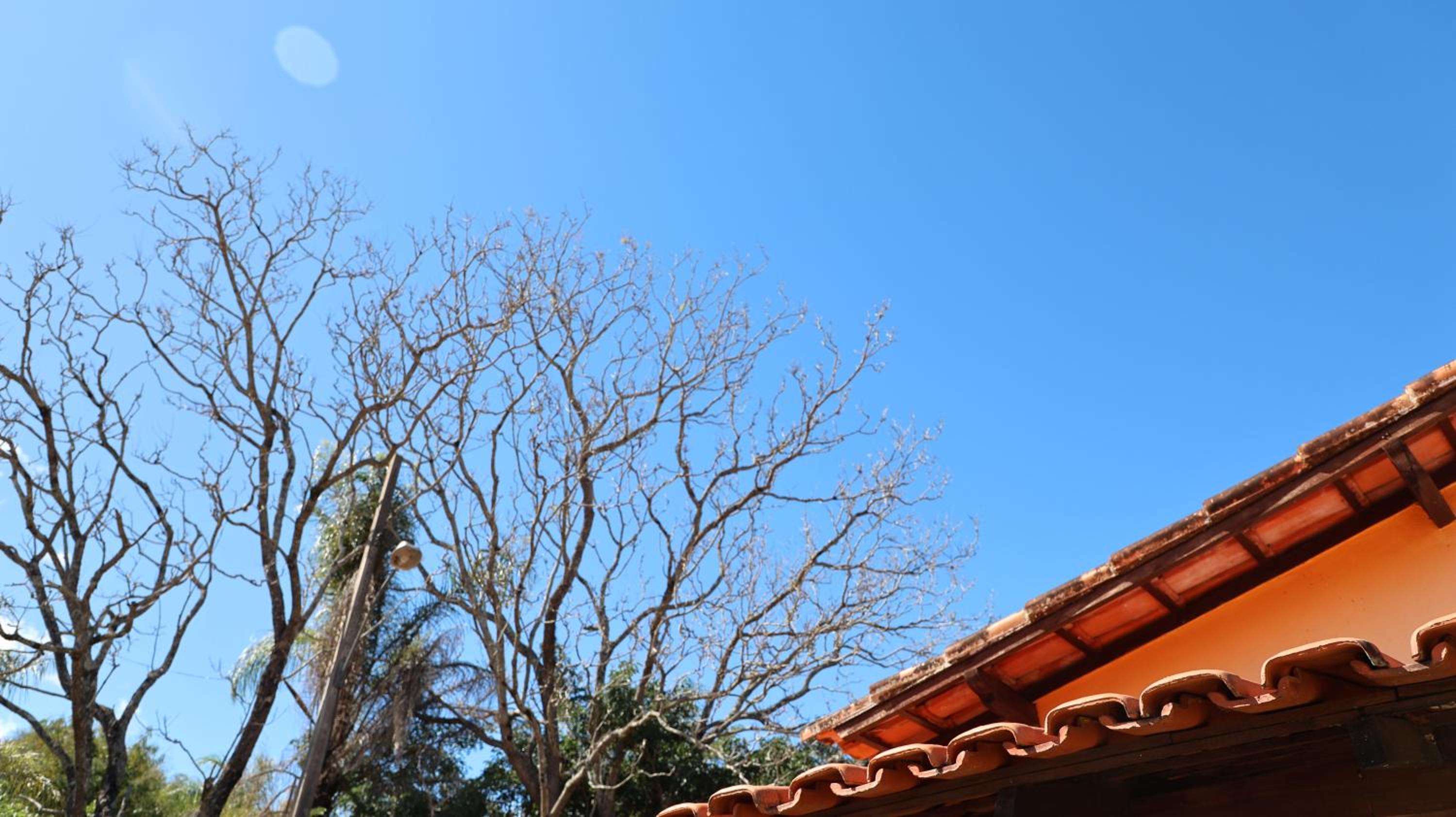 Canto das Árvores - Nova União MG