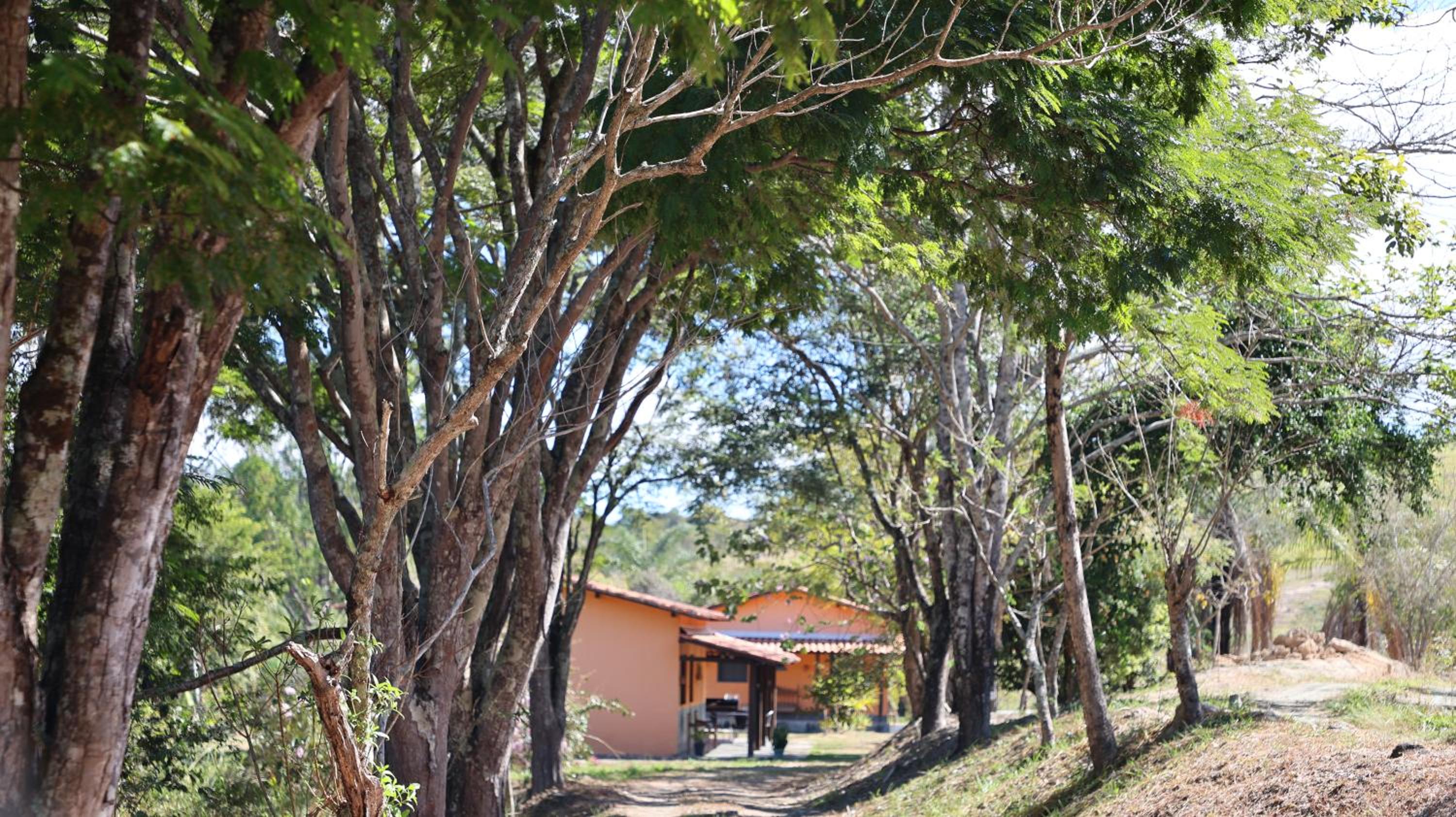Canto das Árvores - Nova União MG