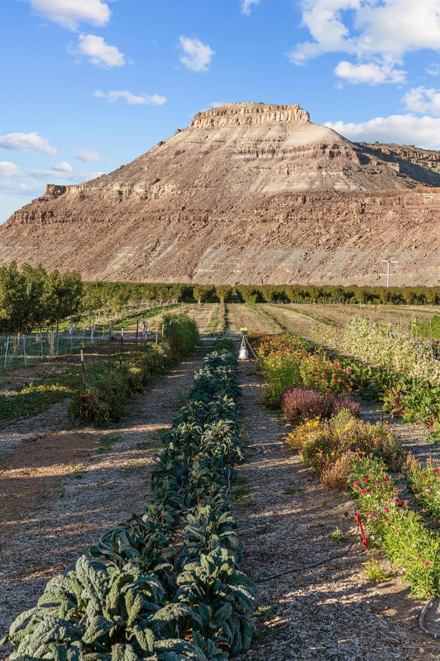 Honey Rock Landing