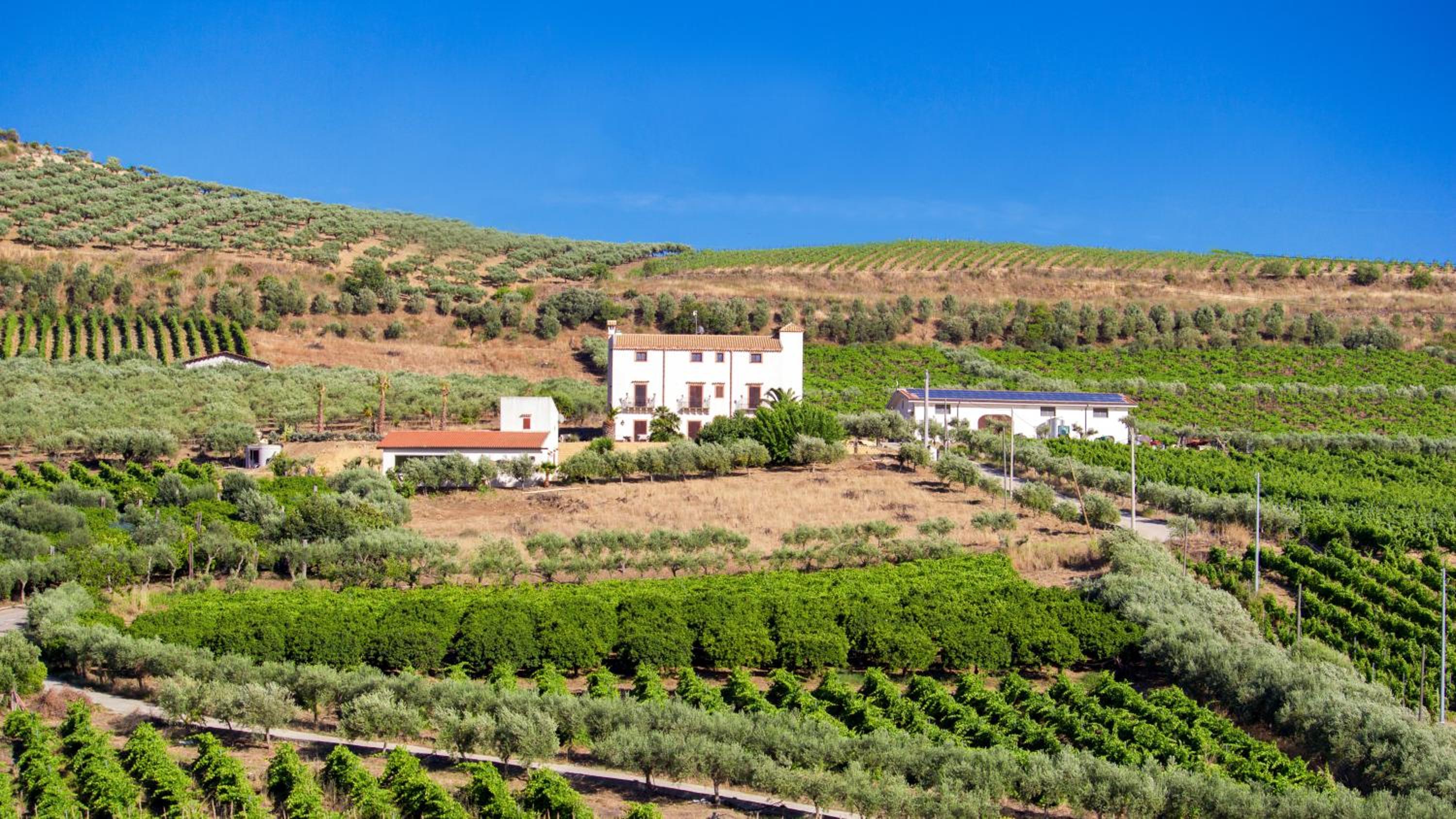 Tenute Piazza Countryhouse