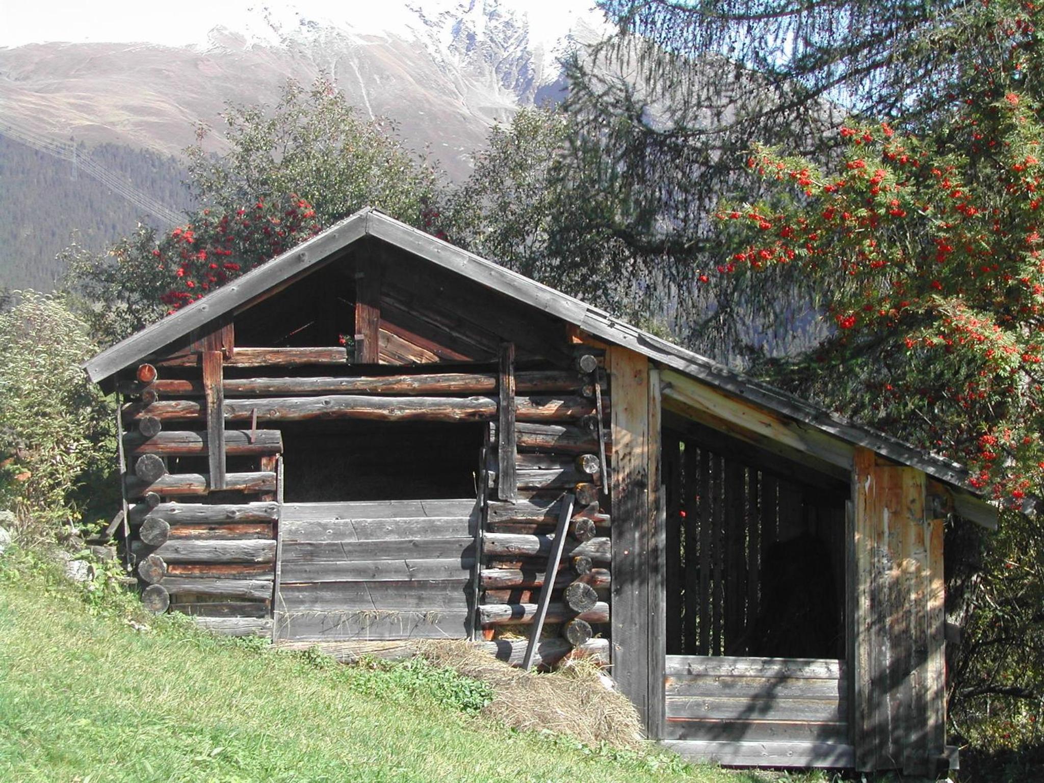 Lexhof