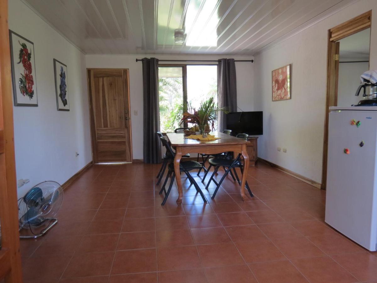 Quinta Celeste