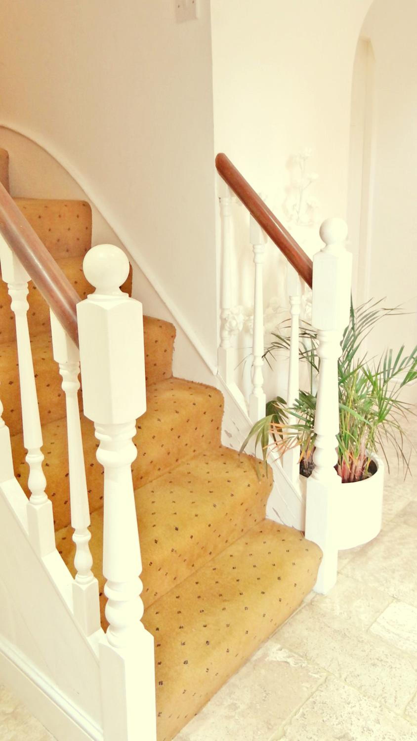 Jessamine House Hotel