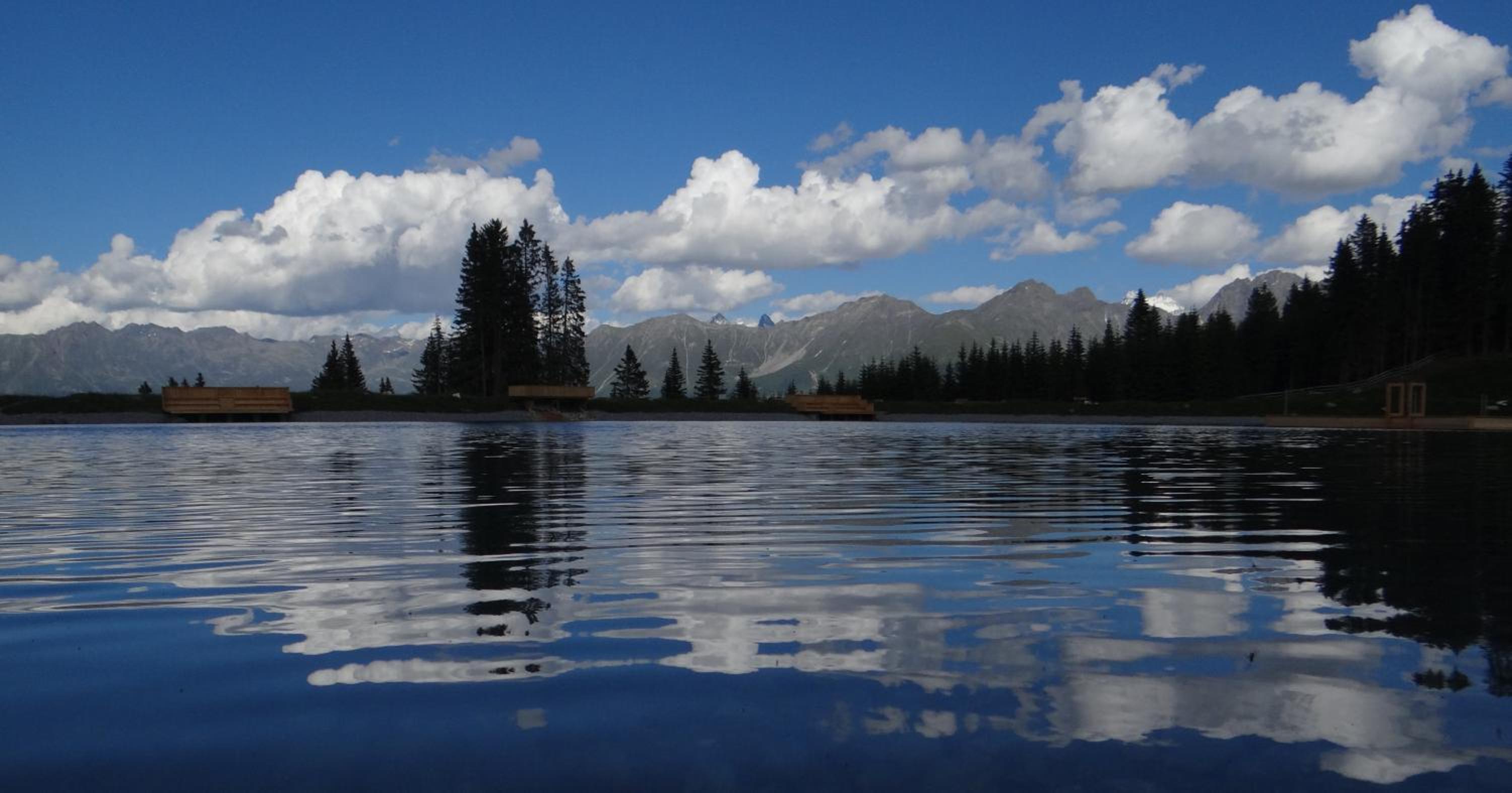 Photo 51