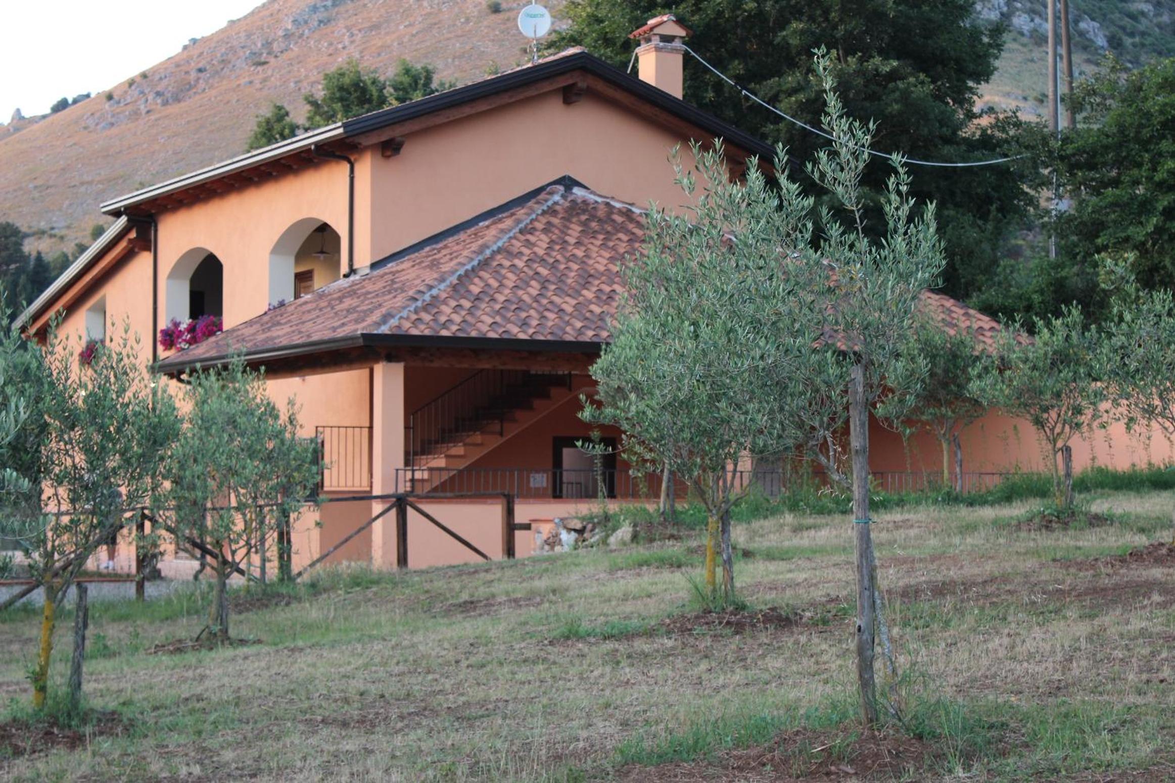 Photo 12