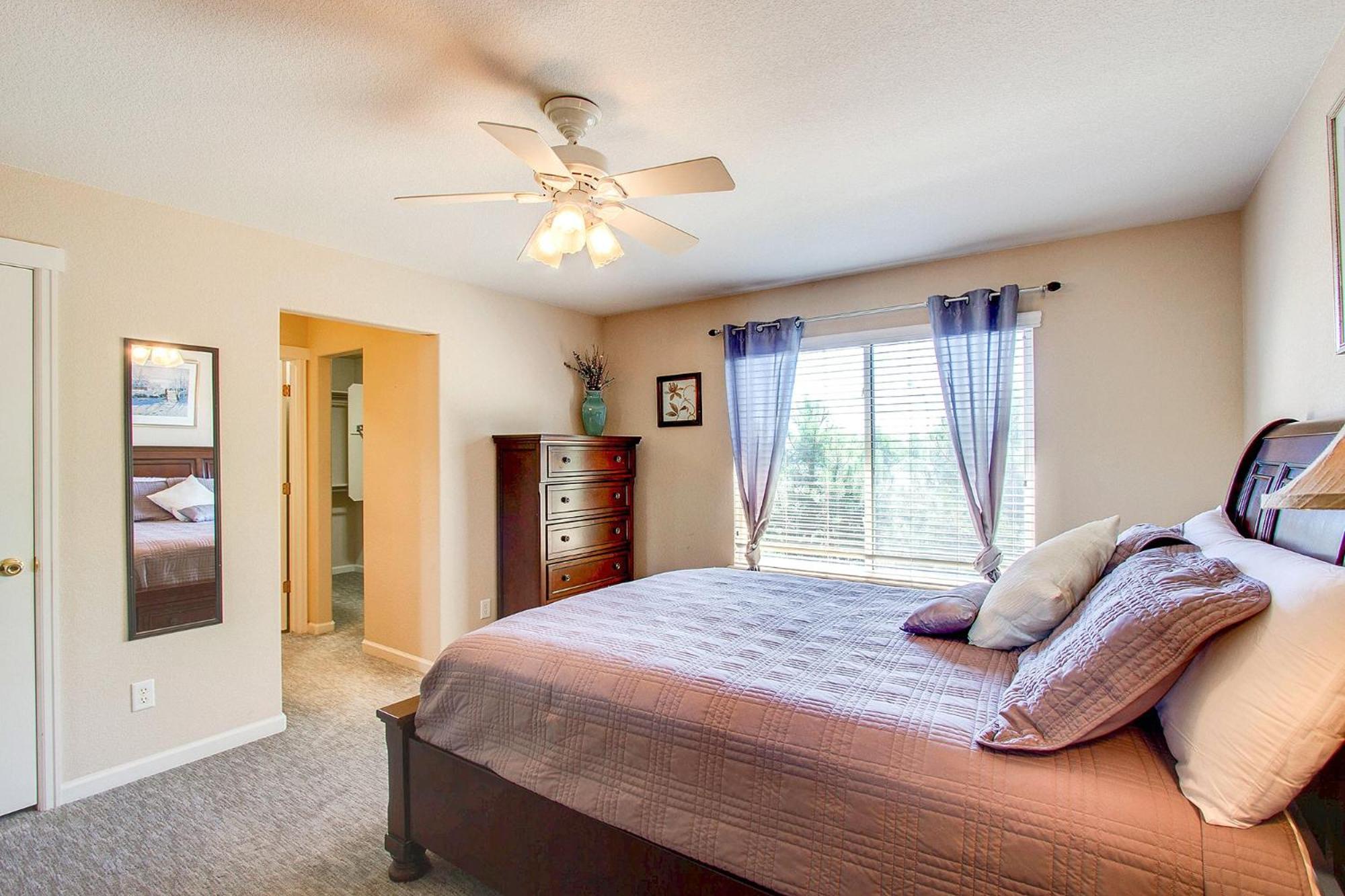 Pet Friendly Home Near Peterson AFB