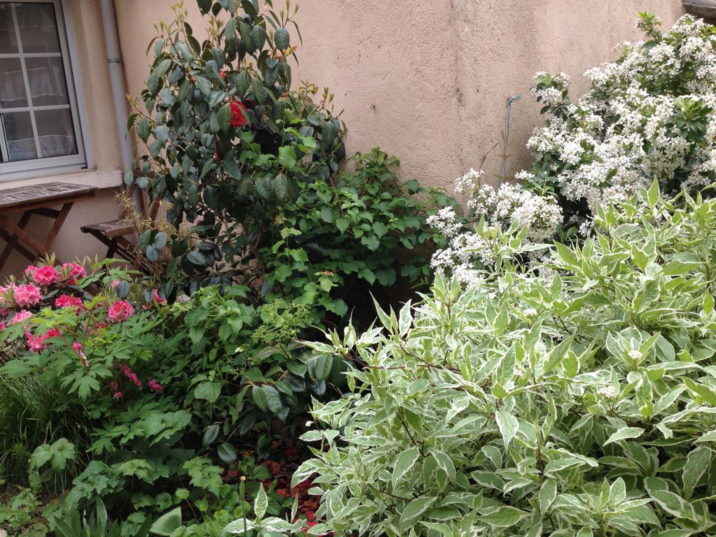 Photo 41