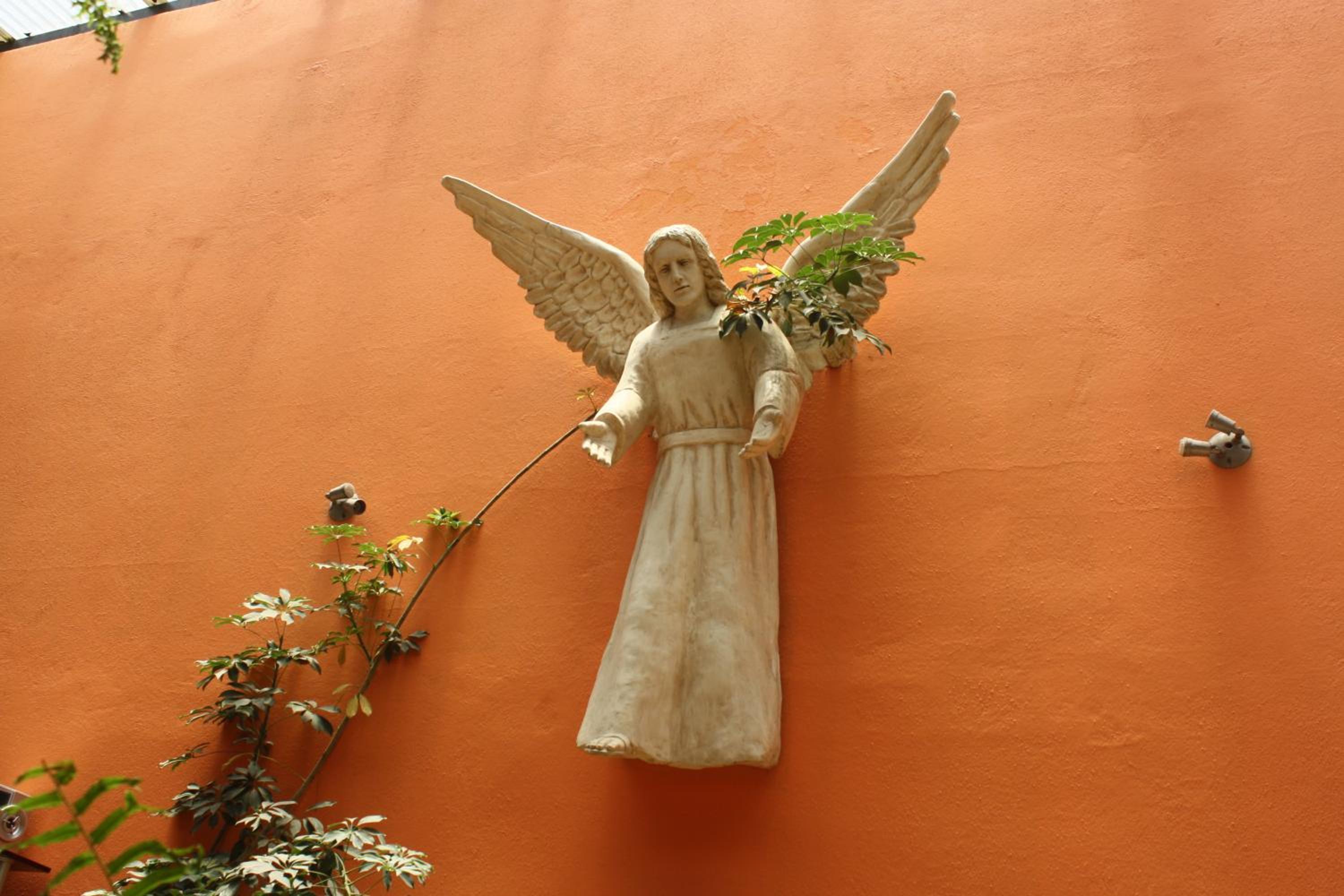 Hotel Kasa Kamelot