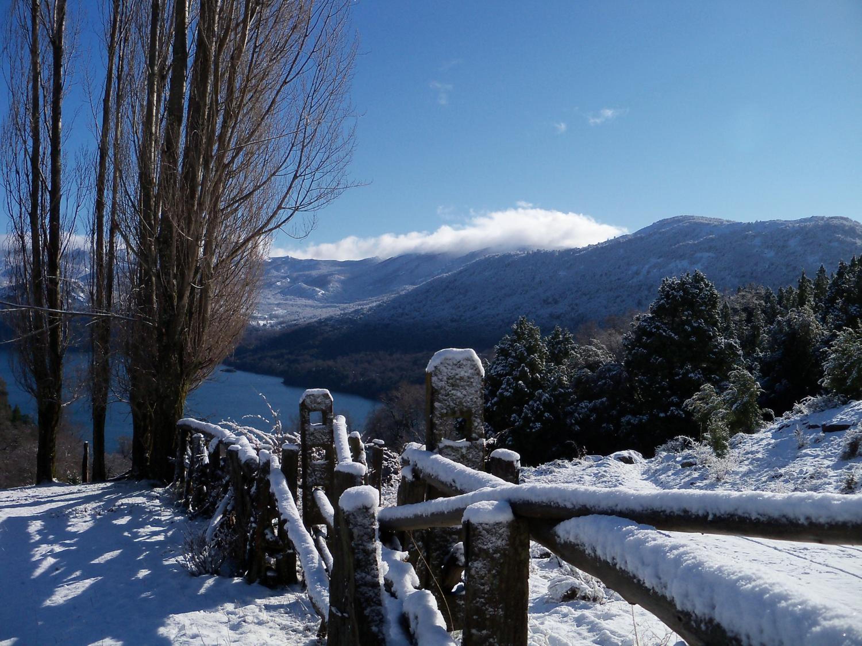 El Cipresal- Cabaña Epuyen