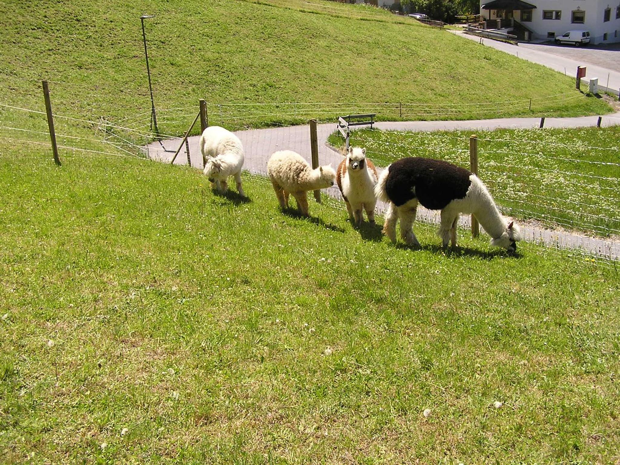 Photo 25
