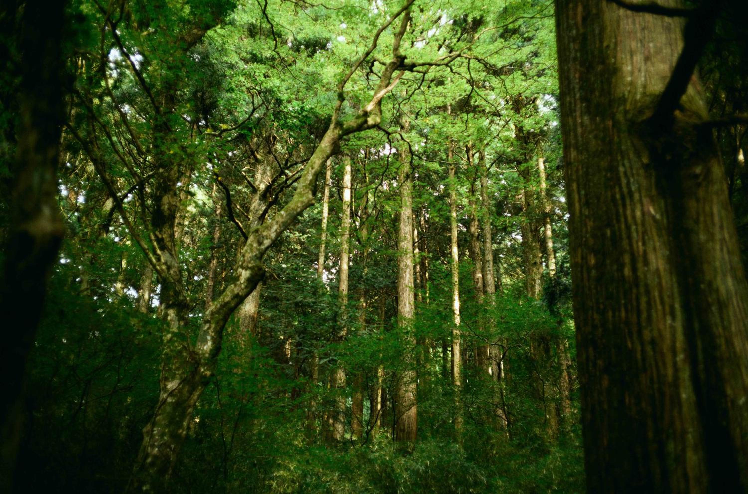 GEOSPOT Motohakone A 2025年10月 New Open