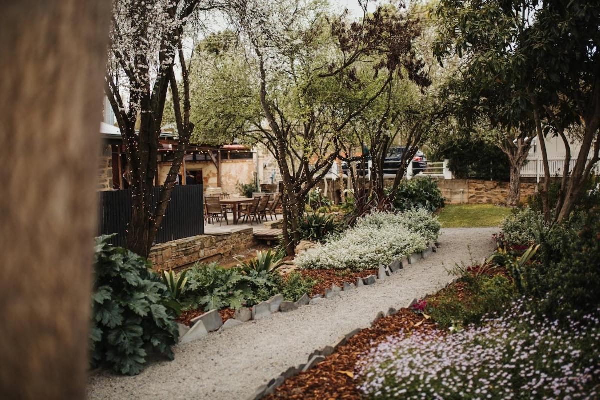 Wild Olive Cottage Clare Valley