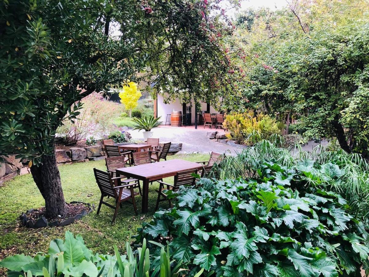 Wild Olive Cottage Clare Valley