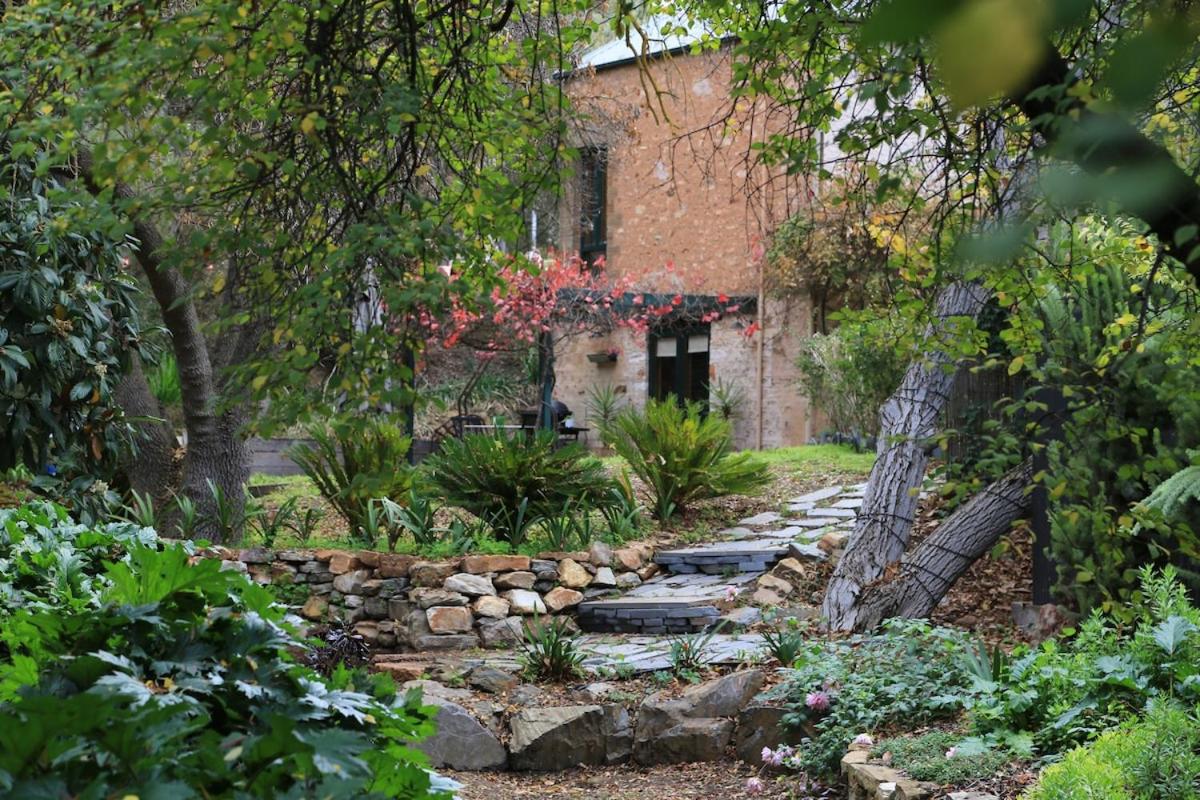 Wild Olive Cottage Clare Valley